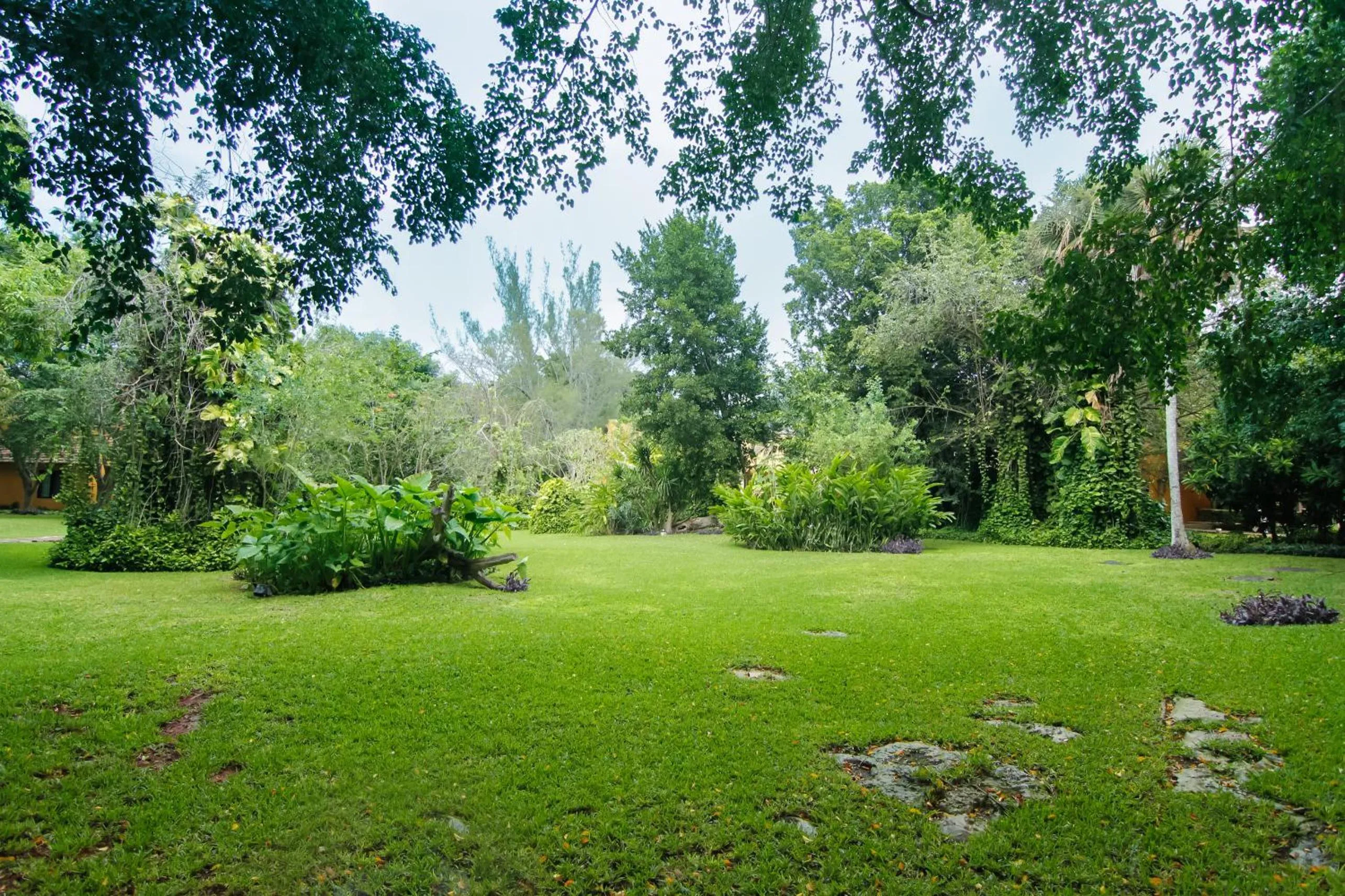 Garden in Hacienda Misne