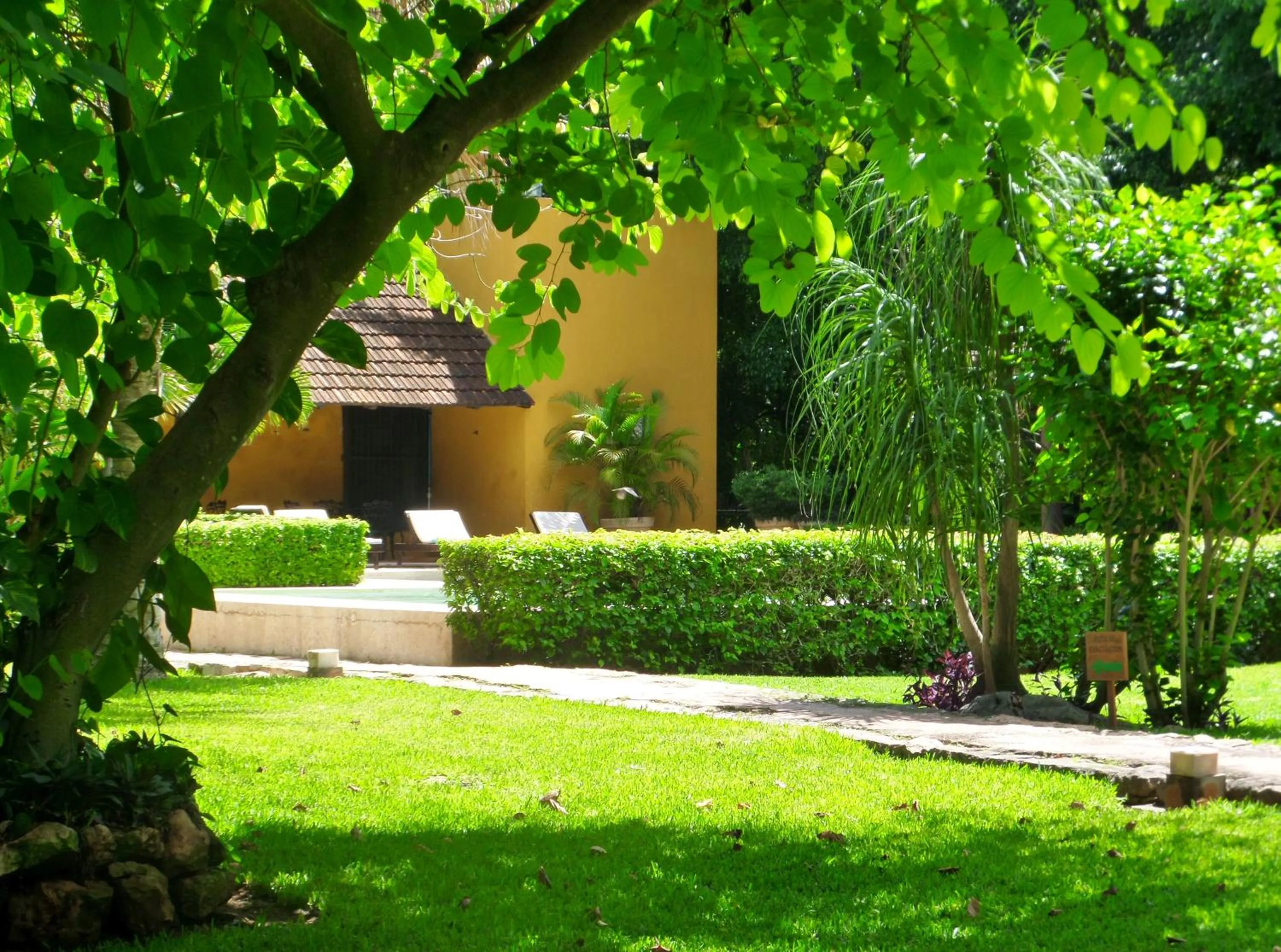 Garden in Hacienda Misne