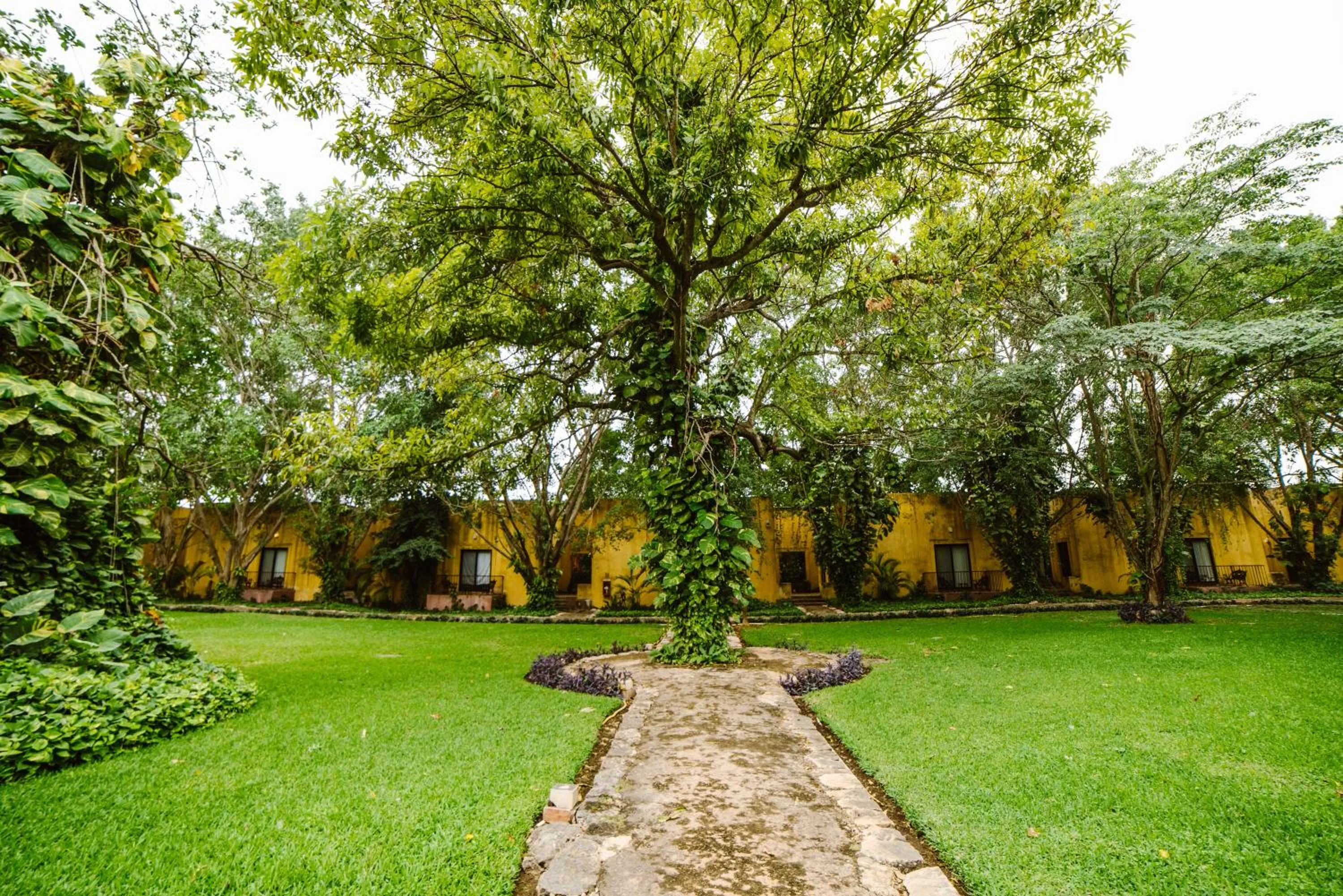 Garden in Hacienda Misne