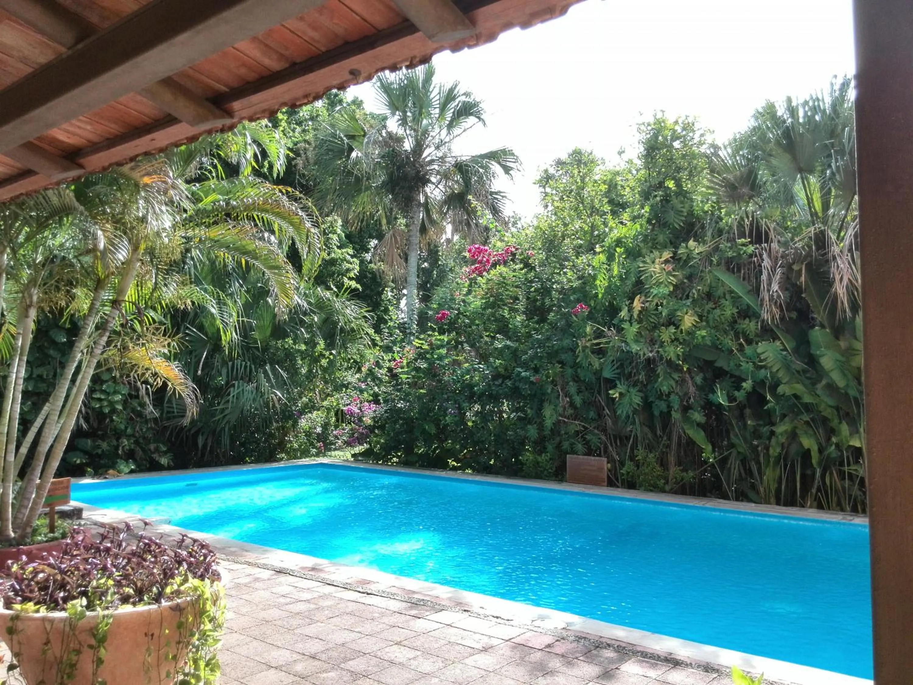 Swimming pool in Hacienda Misne