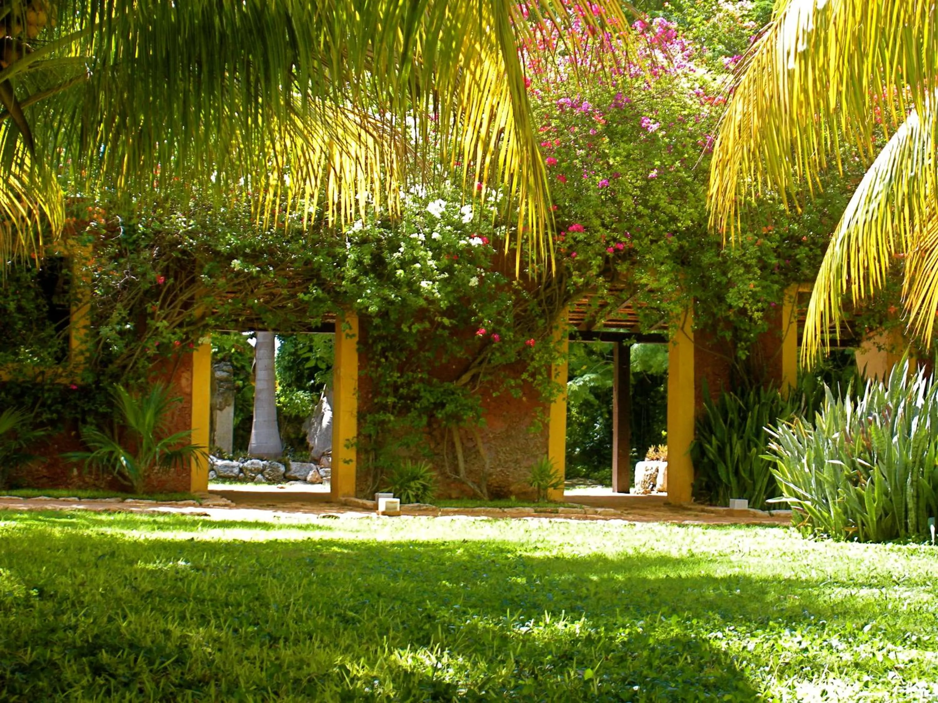 Garden in Hacienda Misne