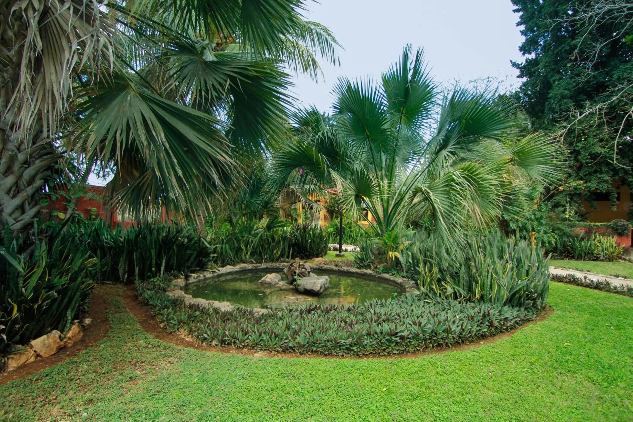 Garden in Hacienda Misne