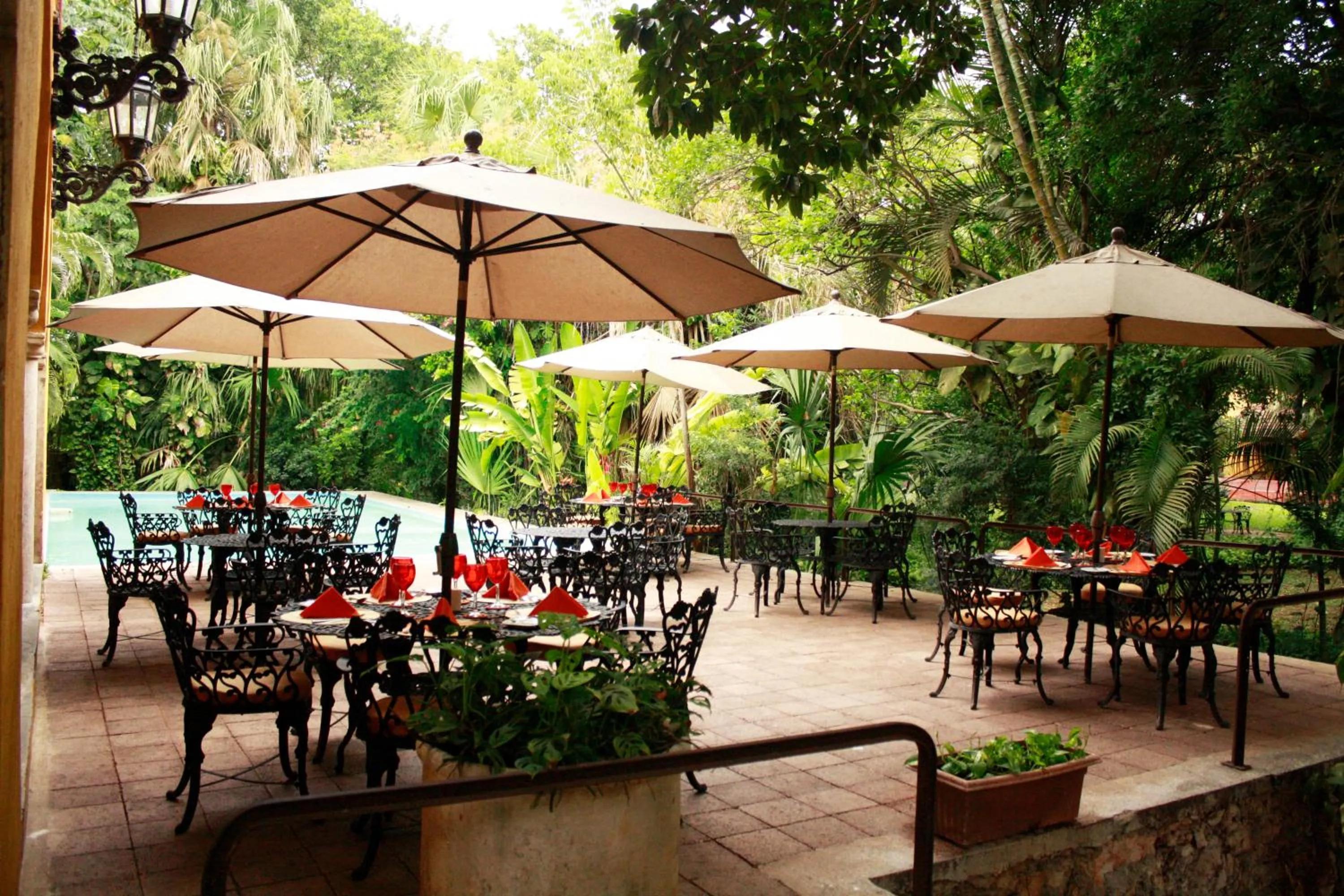 Restaurant/places to eat in Hacienda Misne