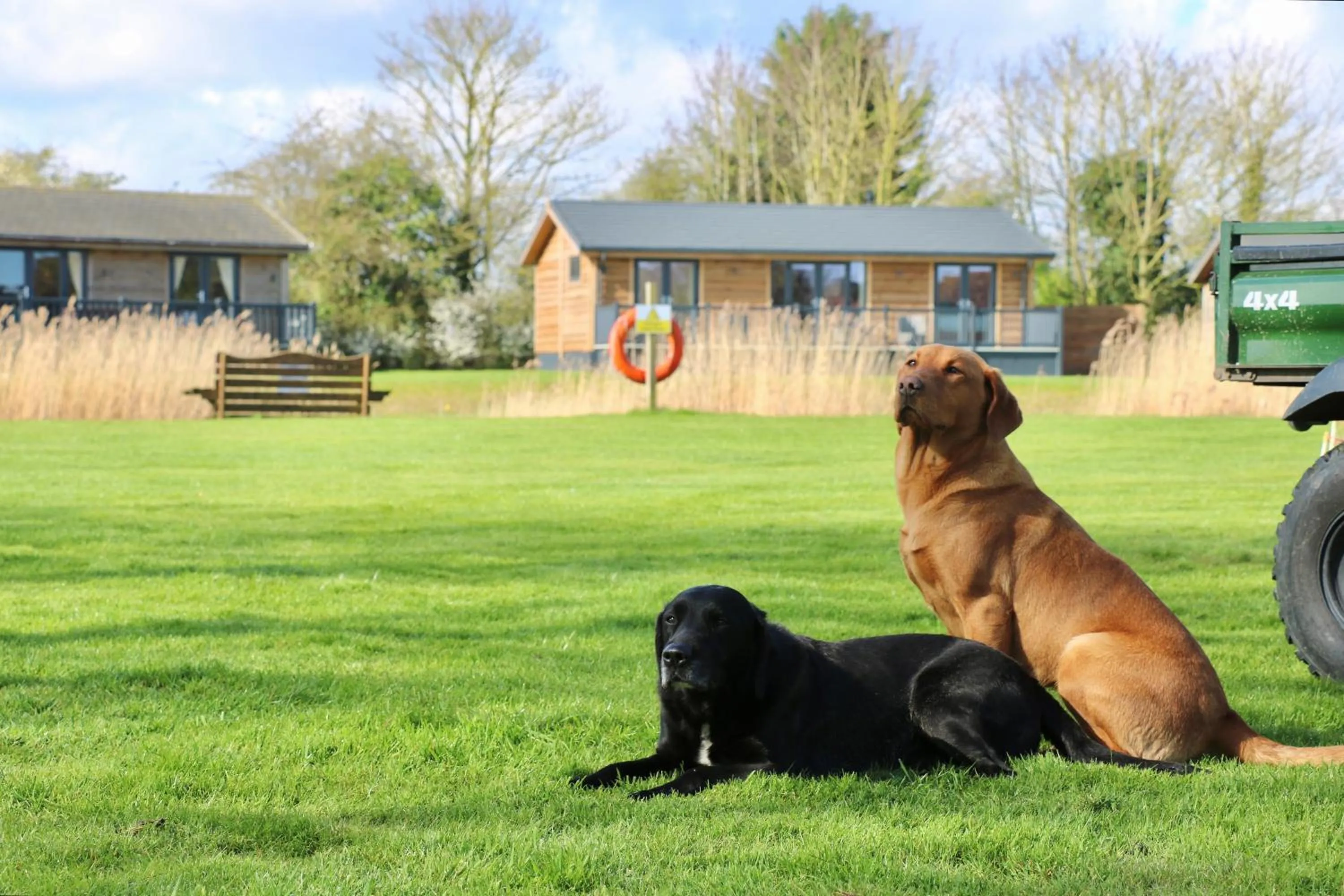 Animals in Grange Farm Park