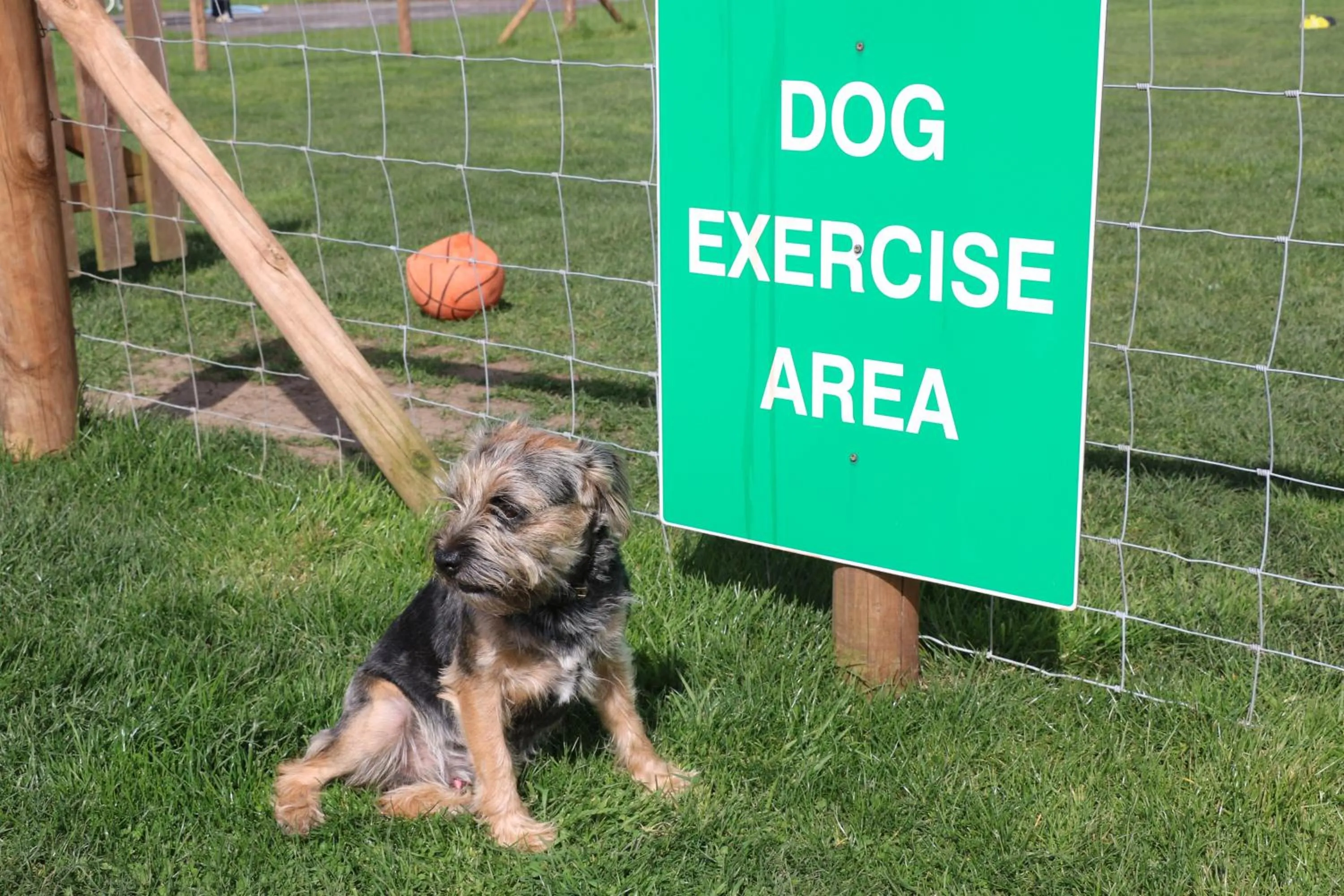 Animals in Grange Farm Park