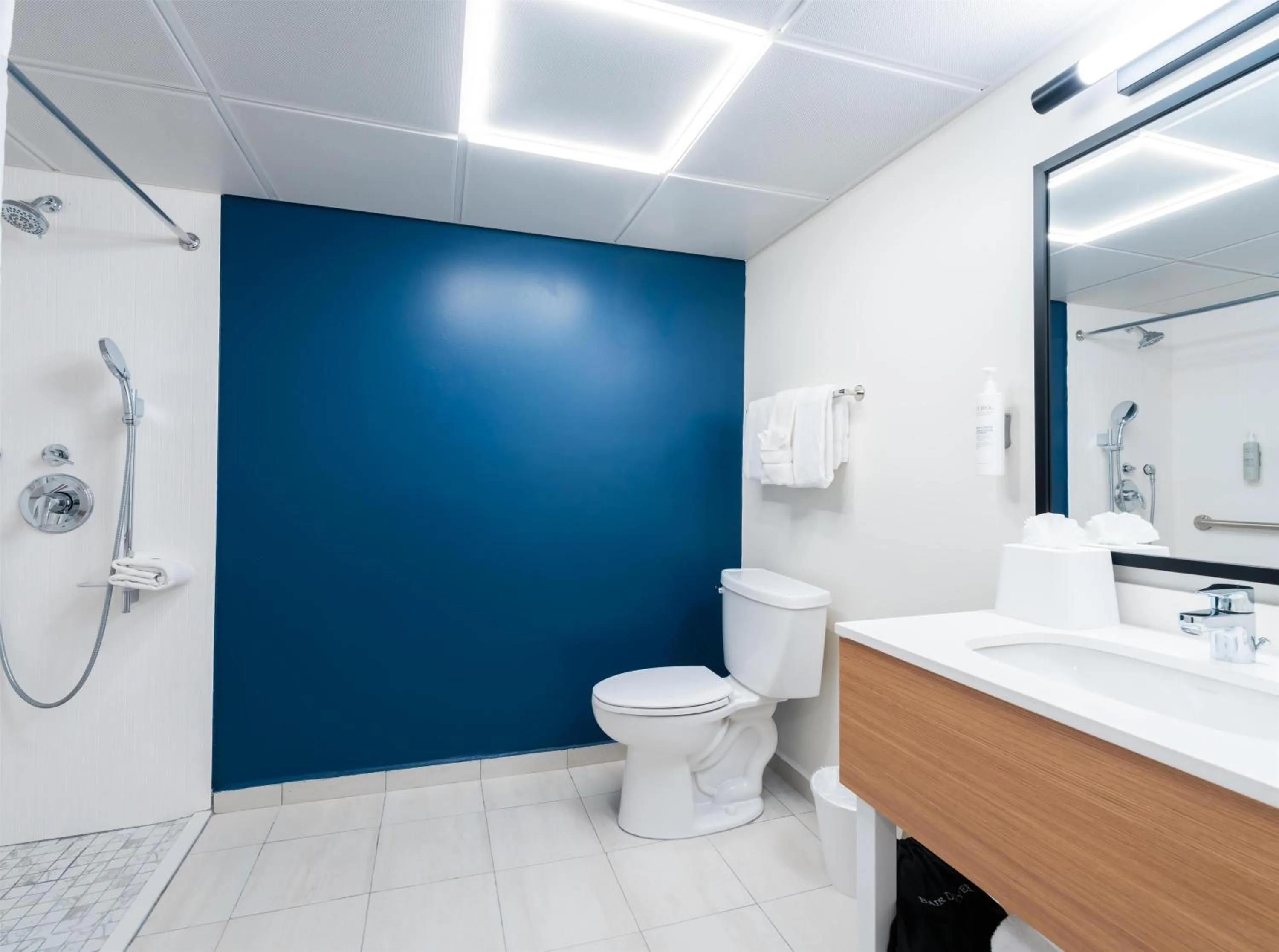 Bathroom in Spark by Hilton Ponce