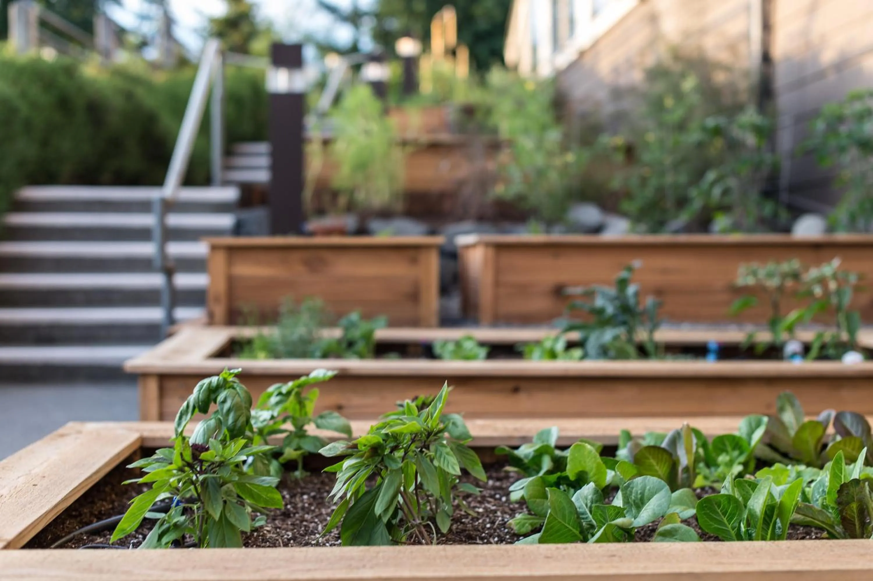 Garden in Salish Lodge & Spa