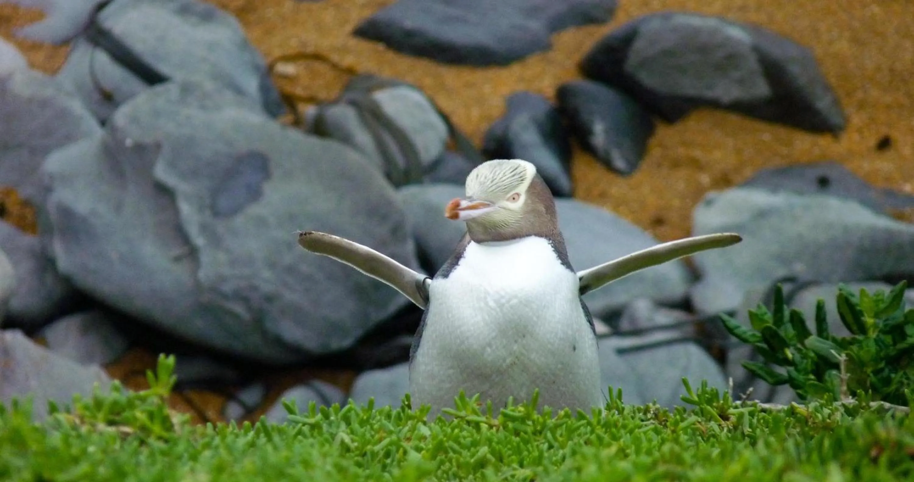 Hiking in Pen-y-bryn Lodge