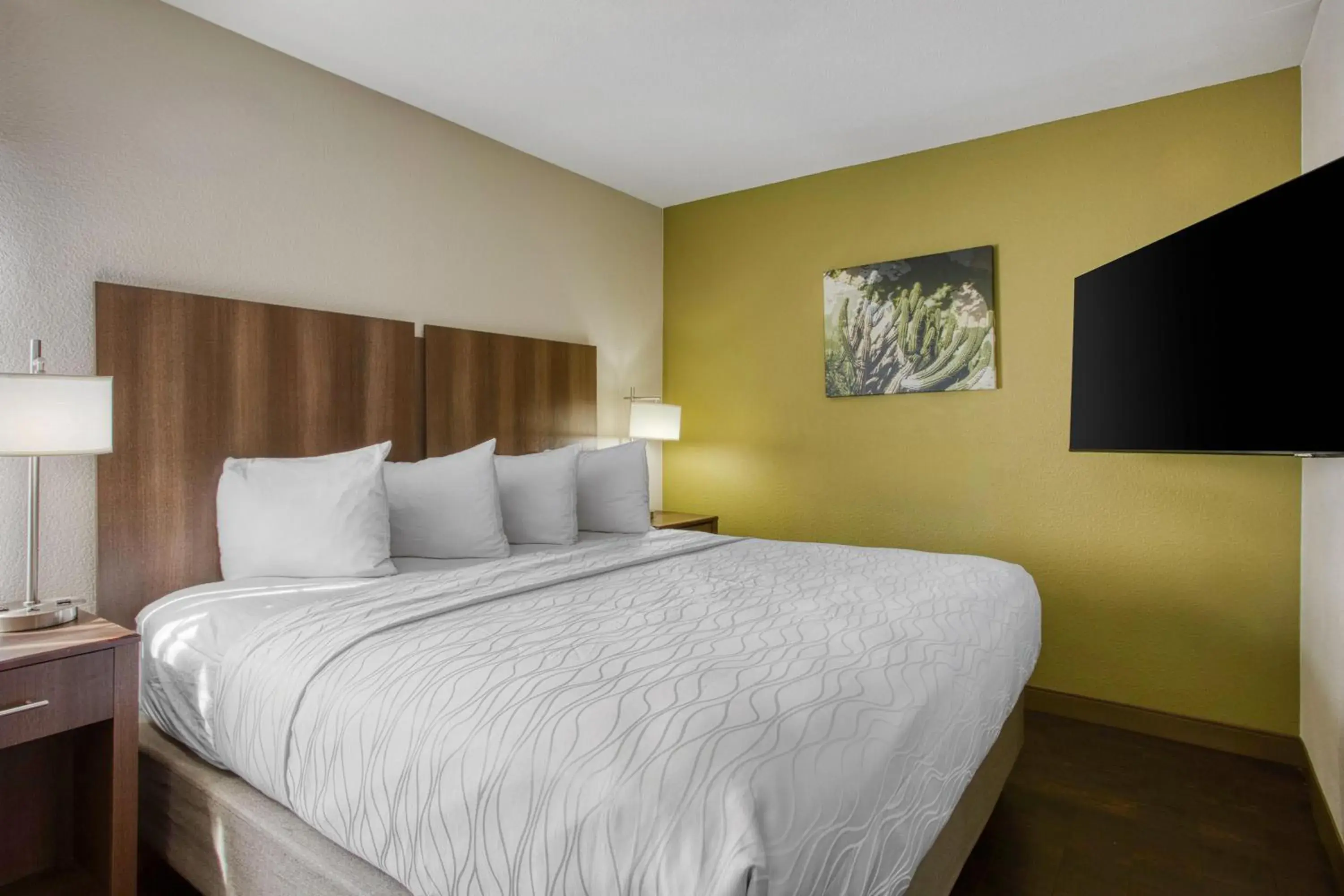 King Room with Roll-In Shower - Pet Friendly/Disability Access in Best Western North Phoenix Hotel King Room with Roll-In Shower - Pet Friendly/Disability Access in Best Western North Phoenix Hotel