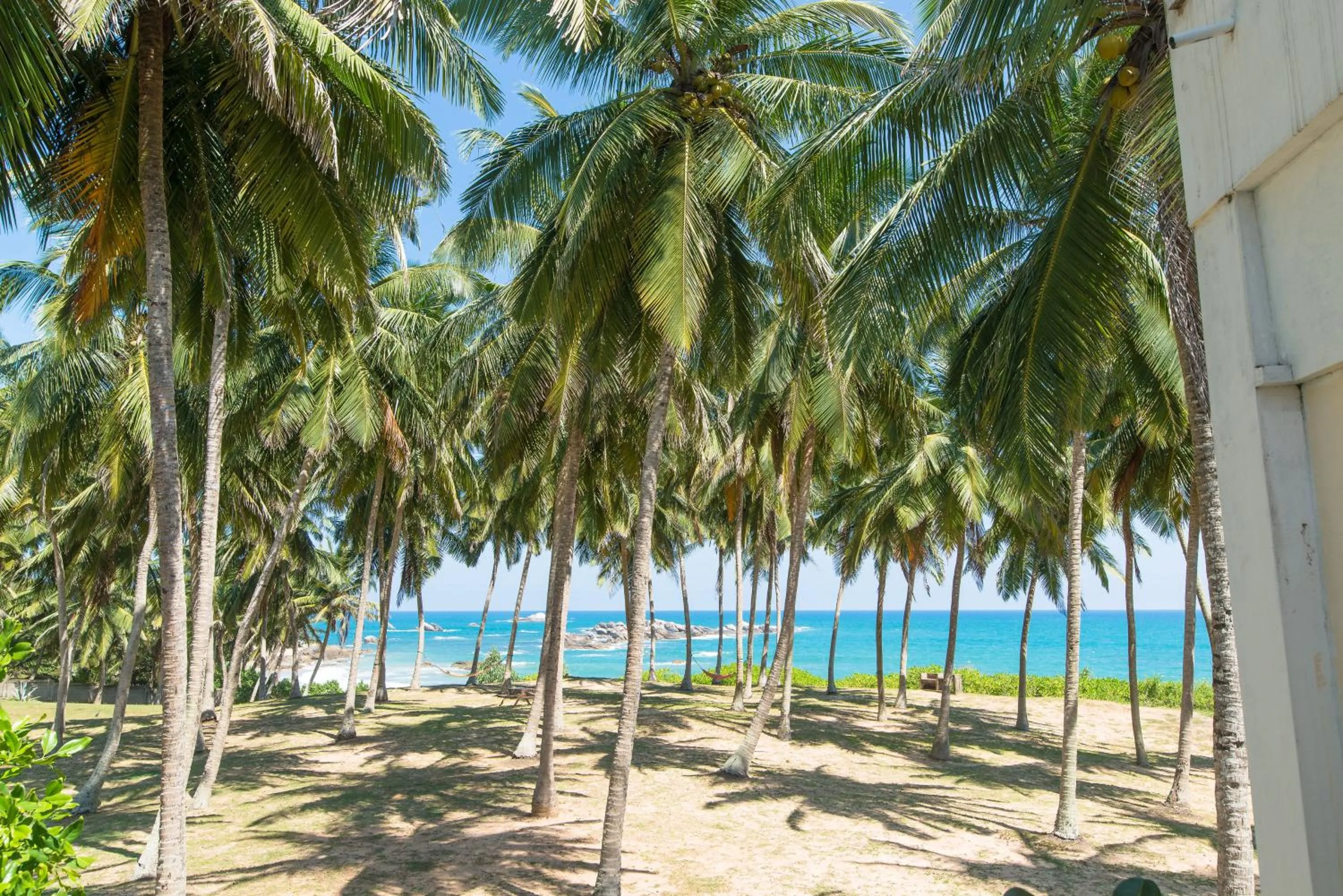 Sea view in Turtle Bay Boutique Hotel