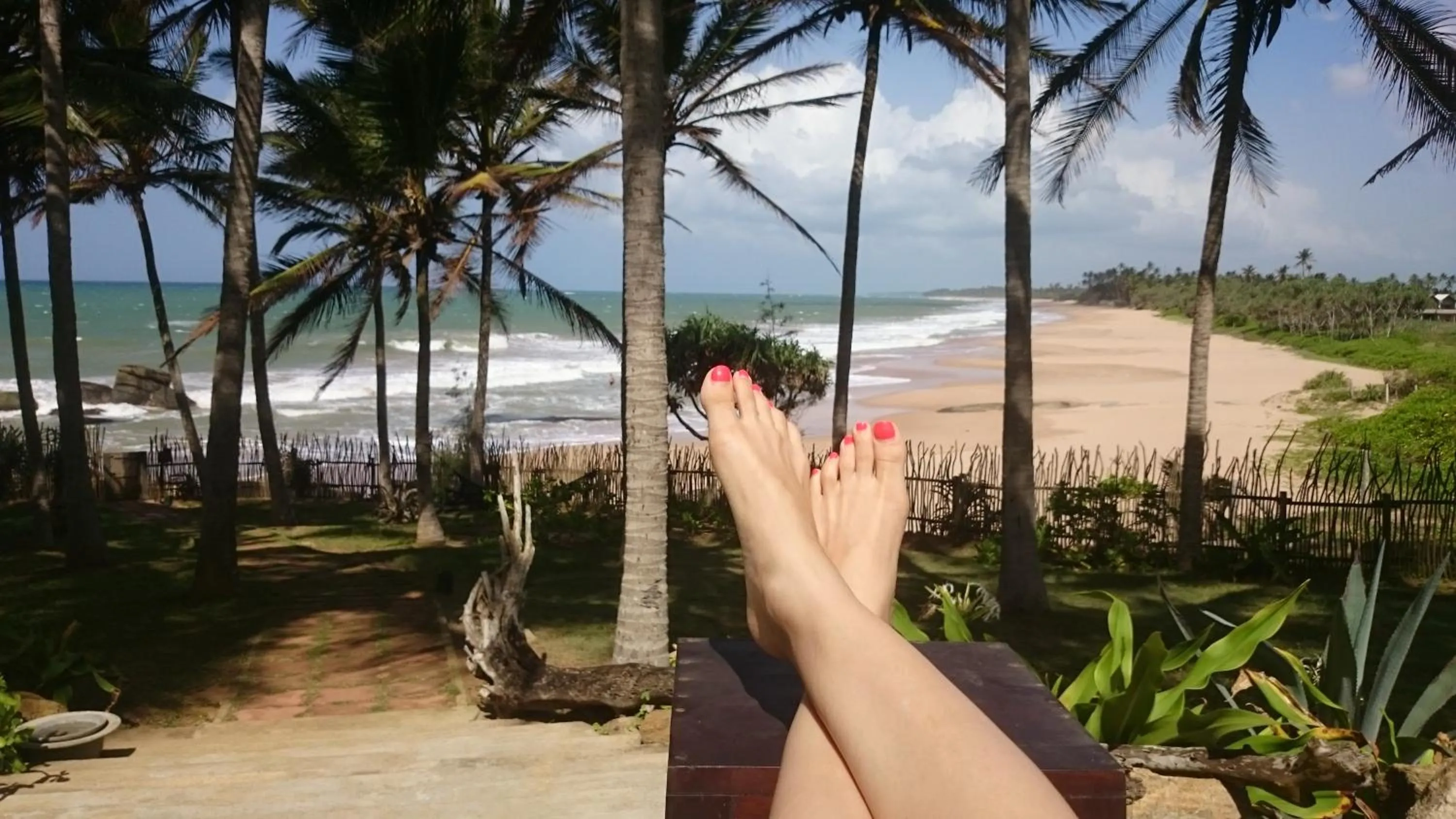 Day in Turtle Bay Boutique Hotel