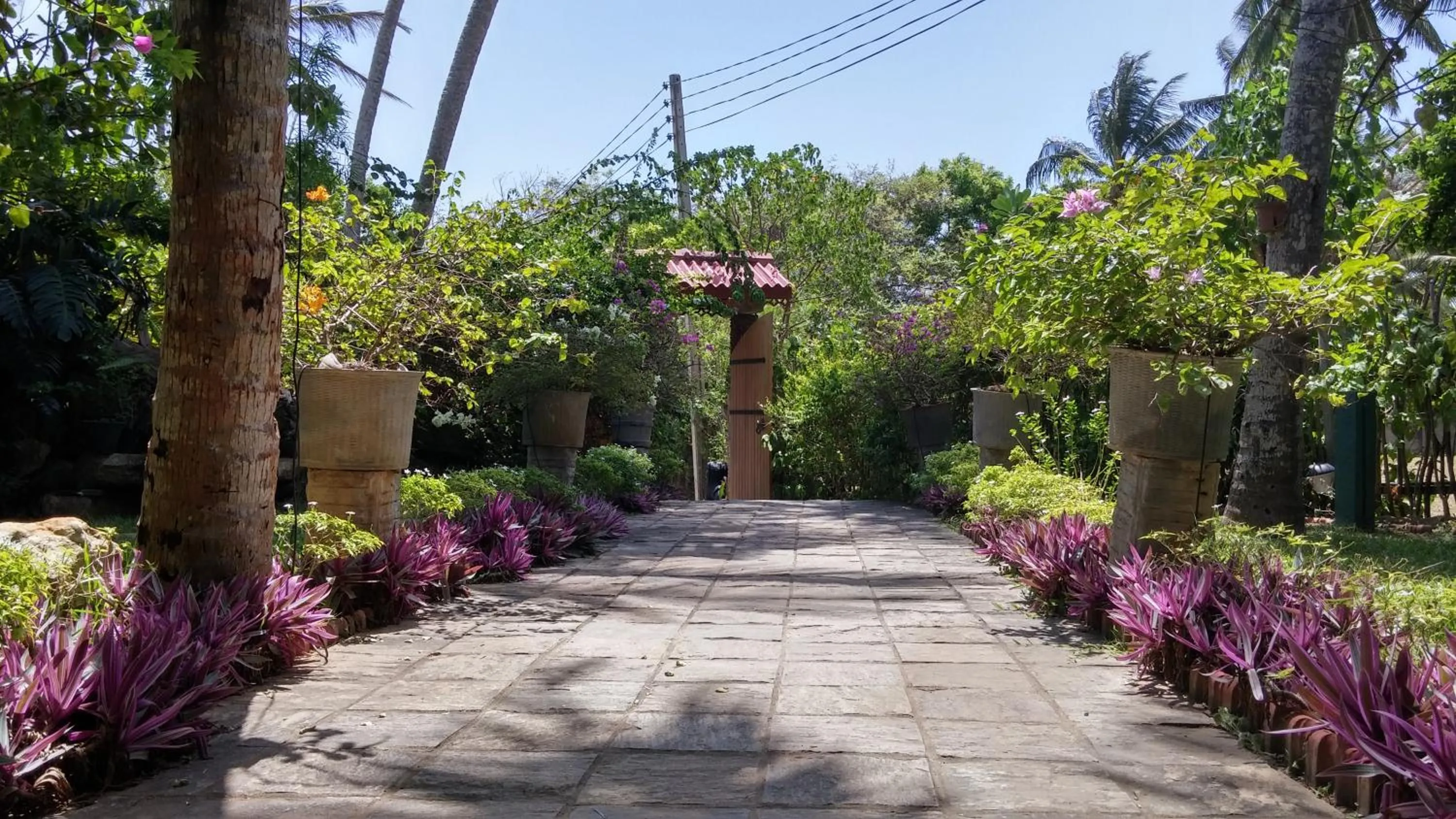 Garden in Turtle Bay Boutique Hotel