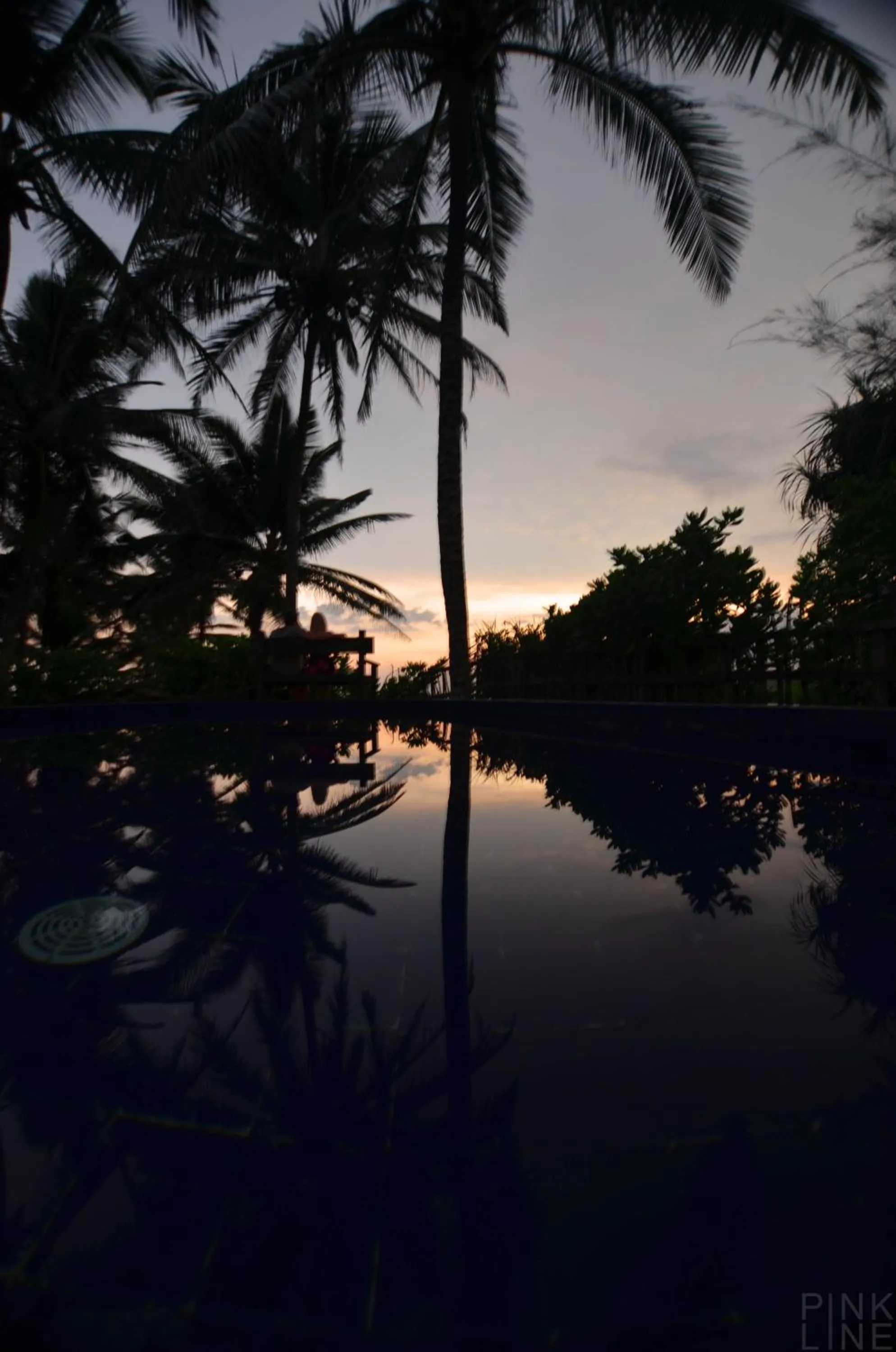 Natural landscape in Turtle Bay Boutique Hotel