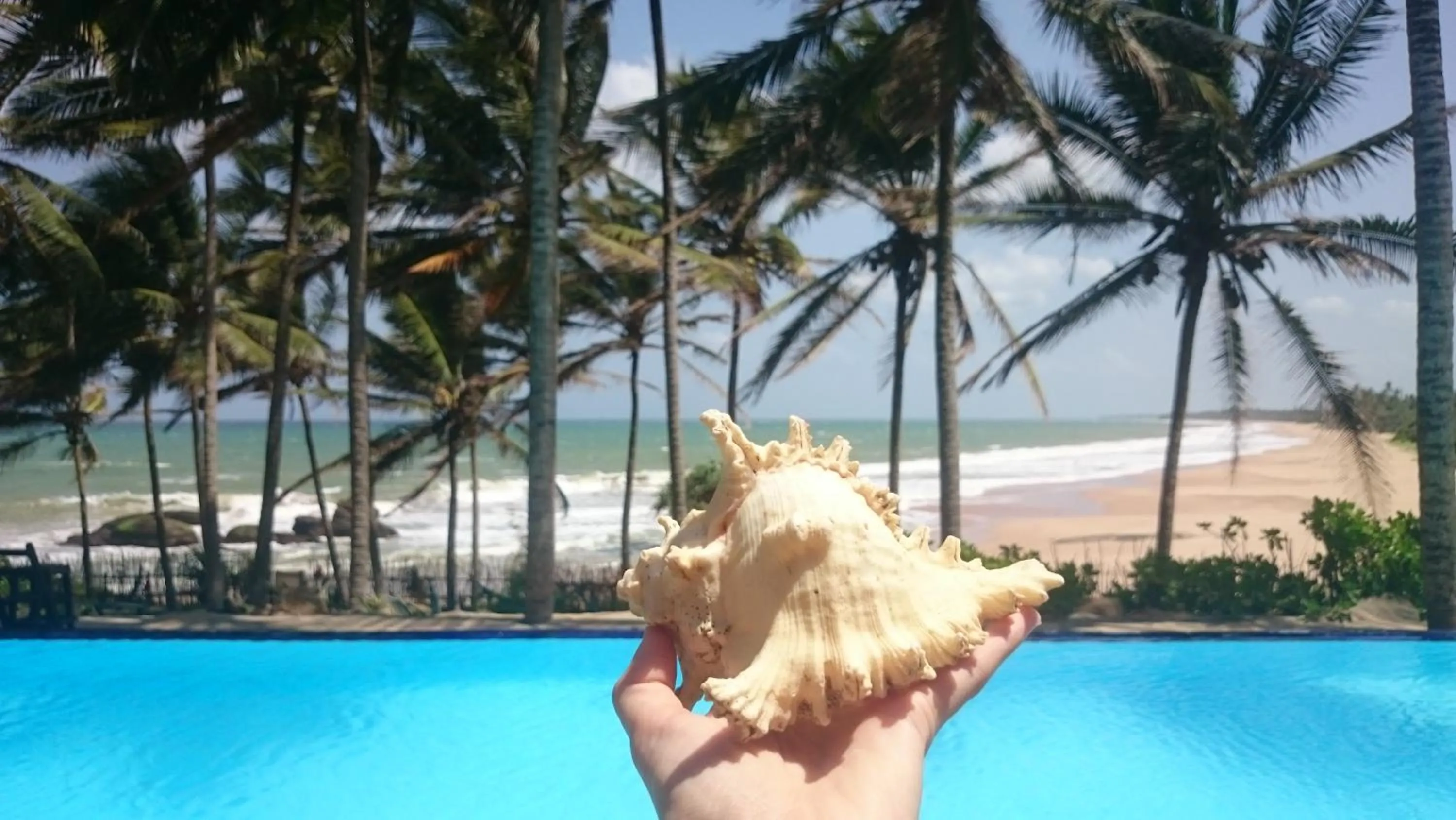 Swimming pool in Turtle Bay Boutique Hotel