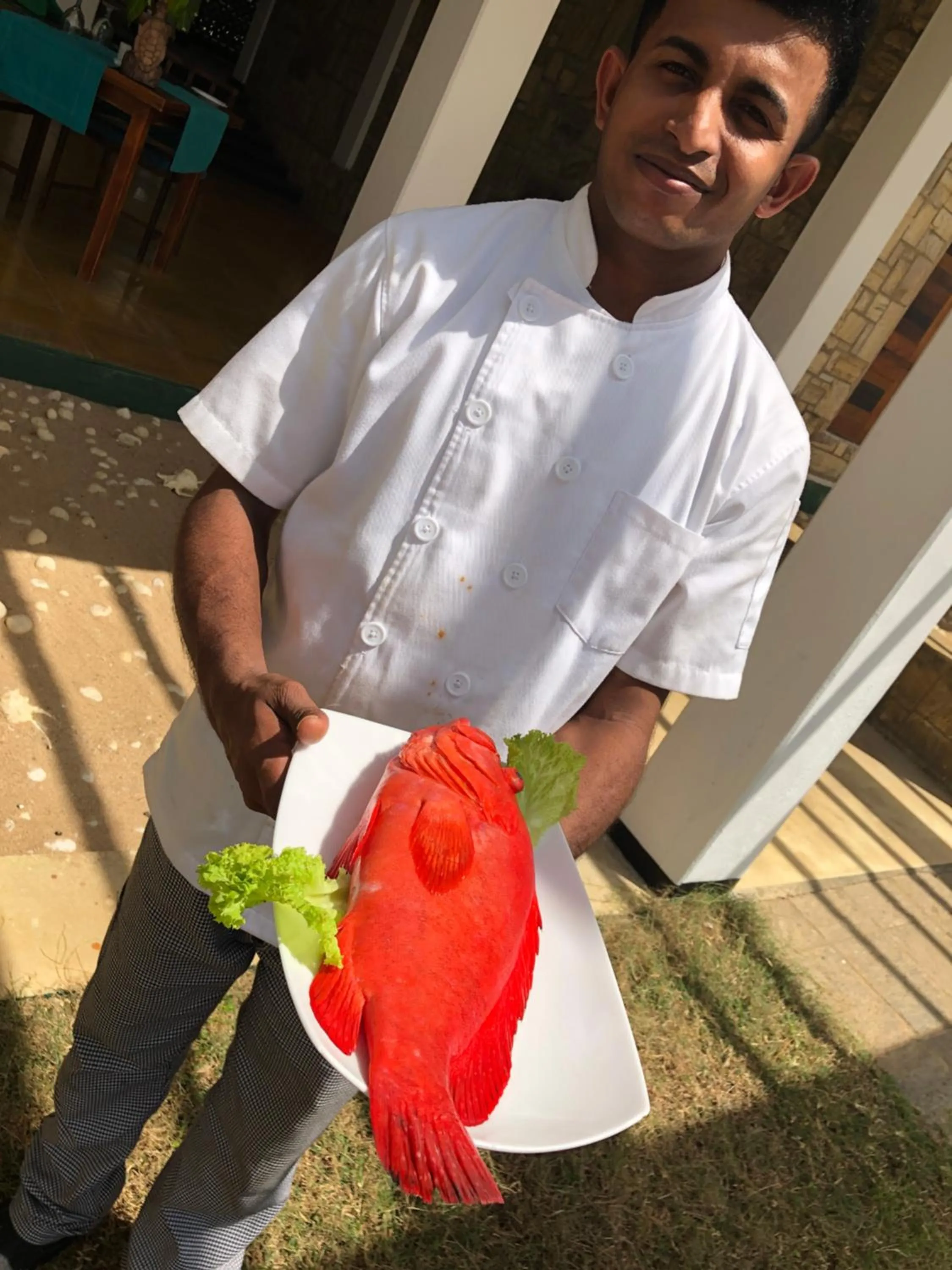 Restaurant/places to eat in Turtle Bay Boutique Hotel