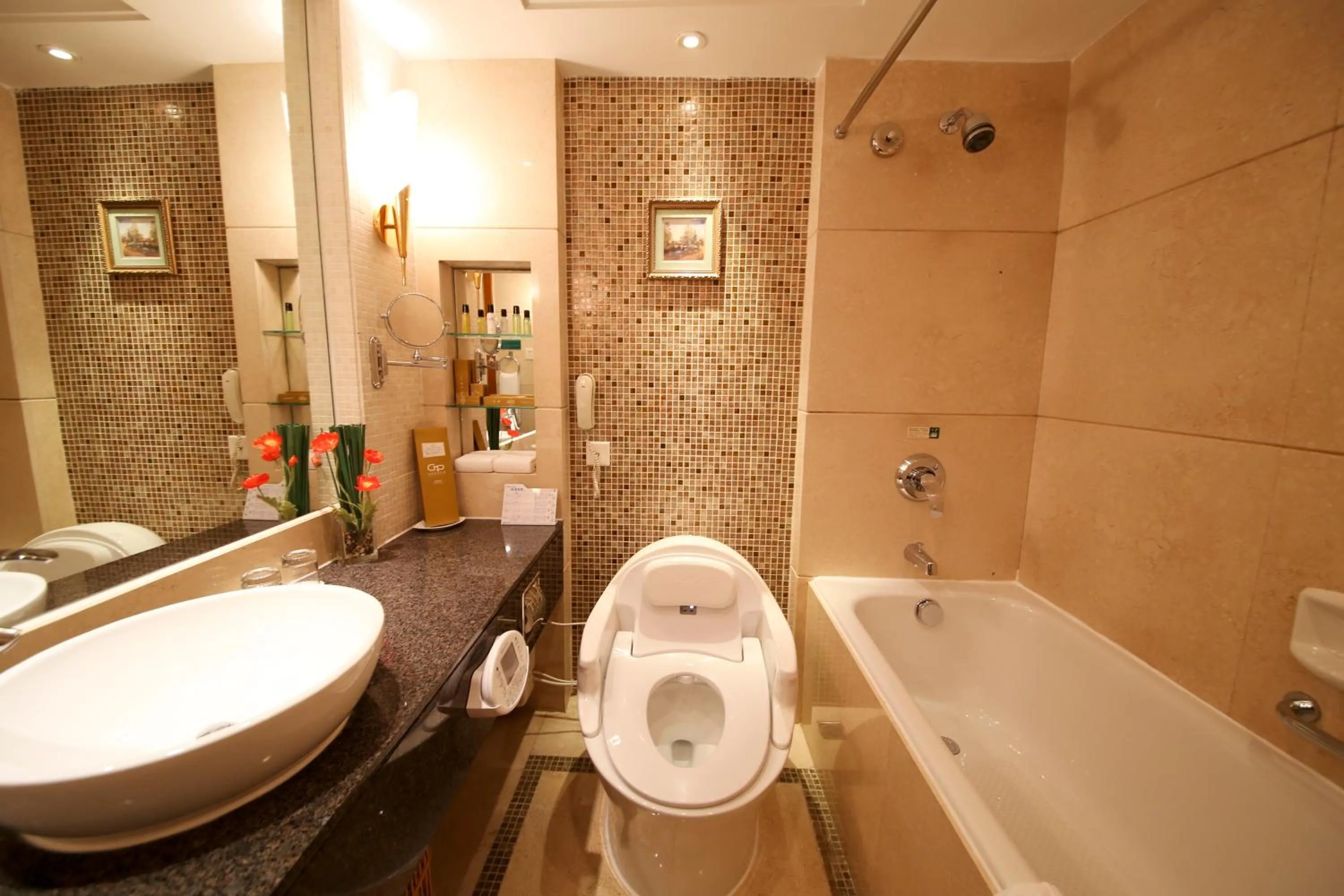 Bathroom in China Mayors Plaza