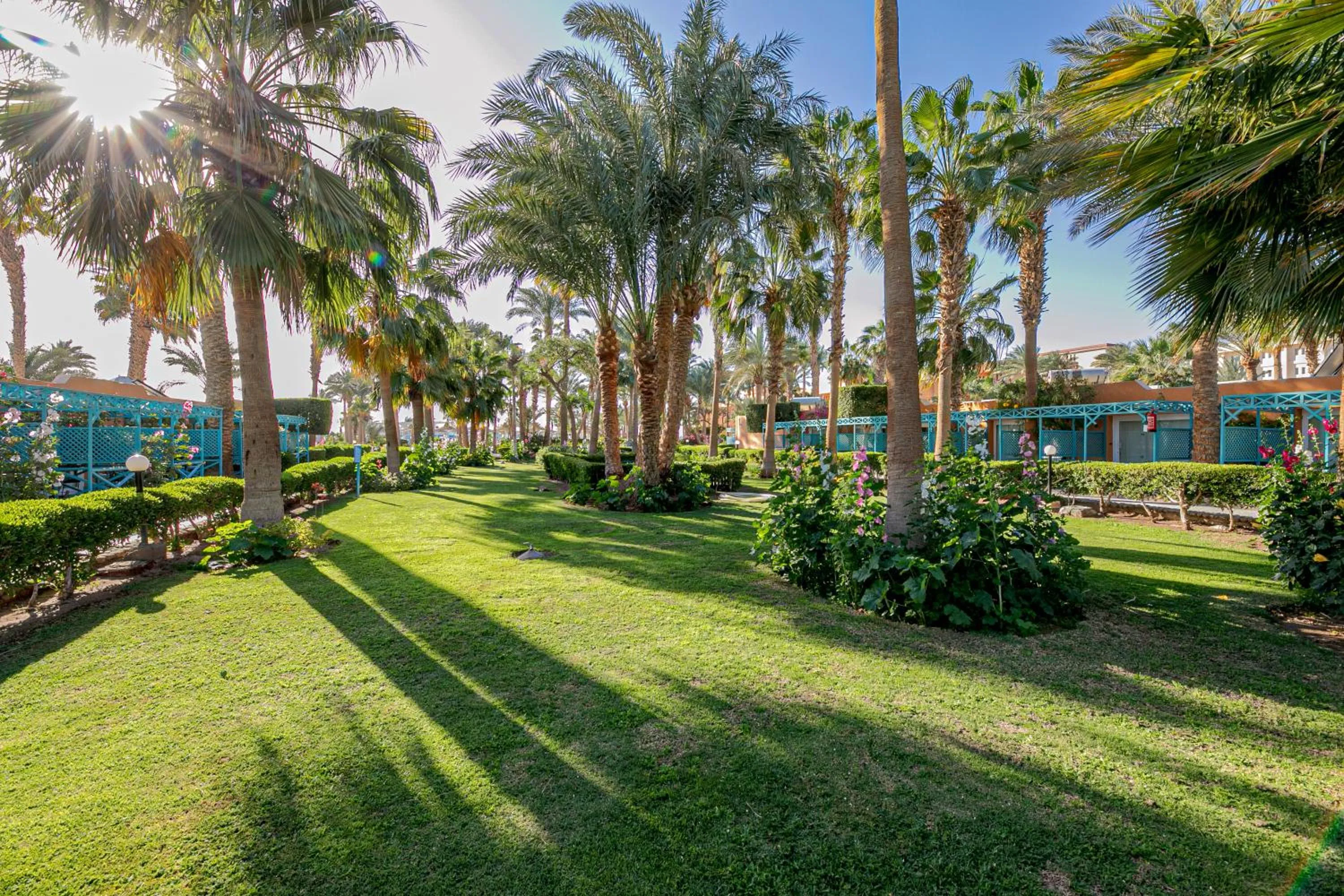 Garden in Giftun Azur Resort