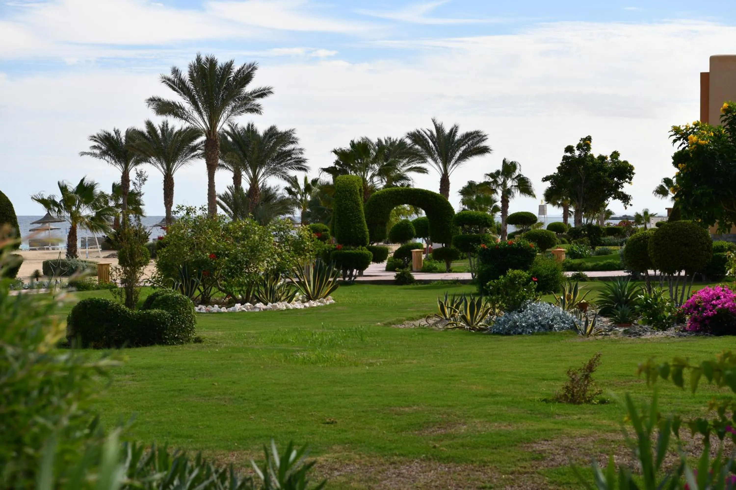 Garden in Wadi Lahmy Azur Resort - Soft All-Inclusive