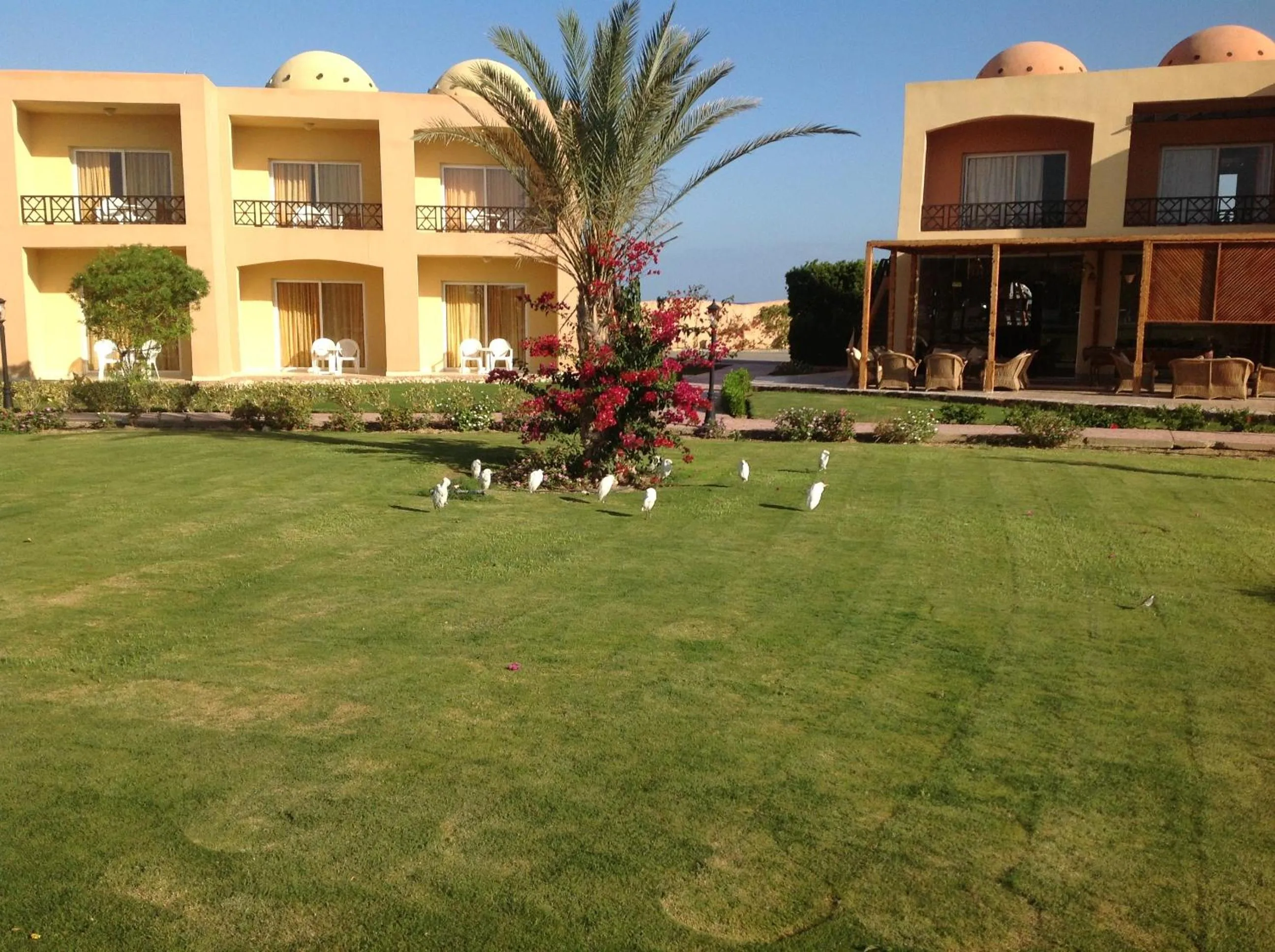 Property building in Wadi Lahmy Azur Resort - Soft All-Inclusive