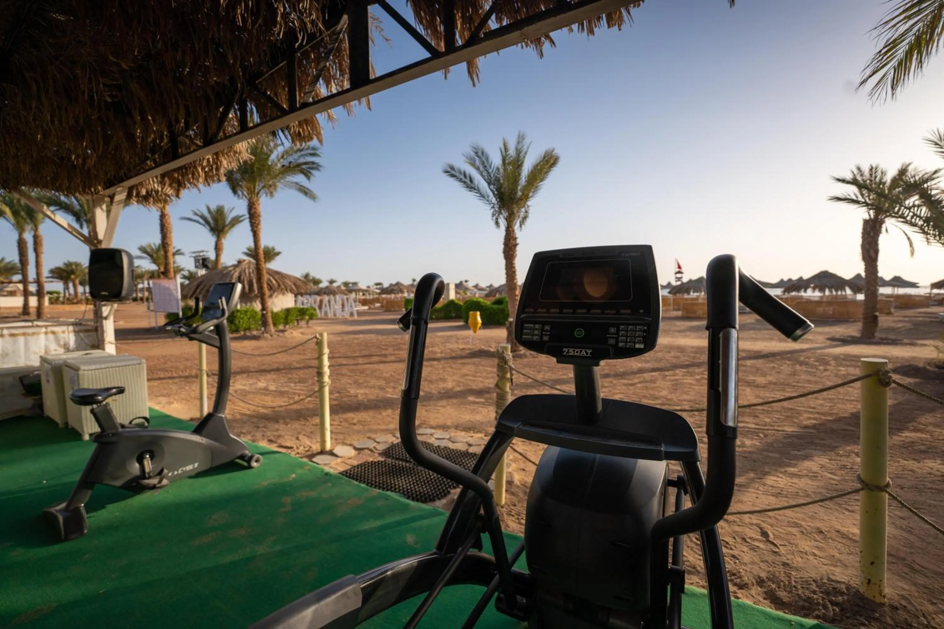 Activities in JAZ Palmariva Beach