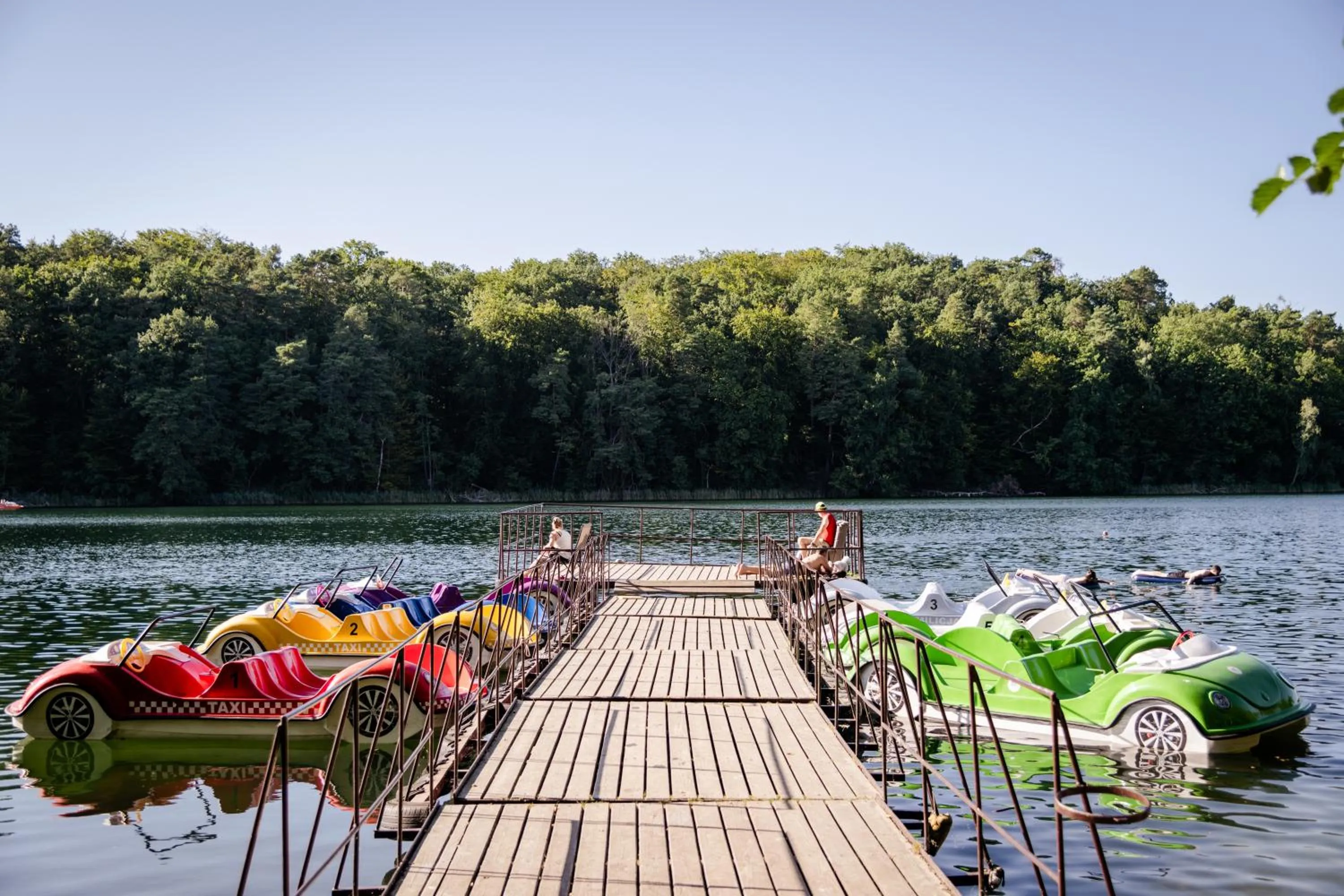Natural landscape in Zacisze,pl Domki Premium i Bungalowy Deluxe nad Jeziorem Łagowskim