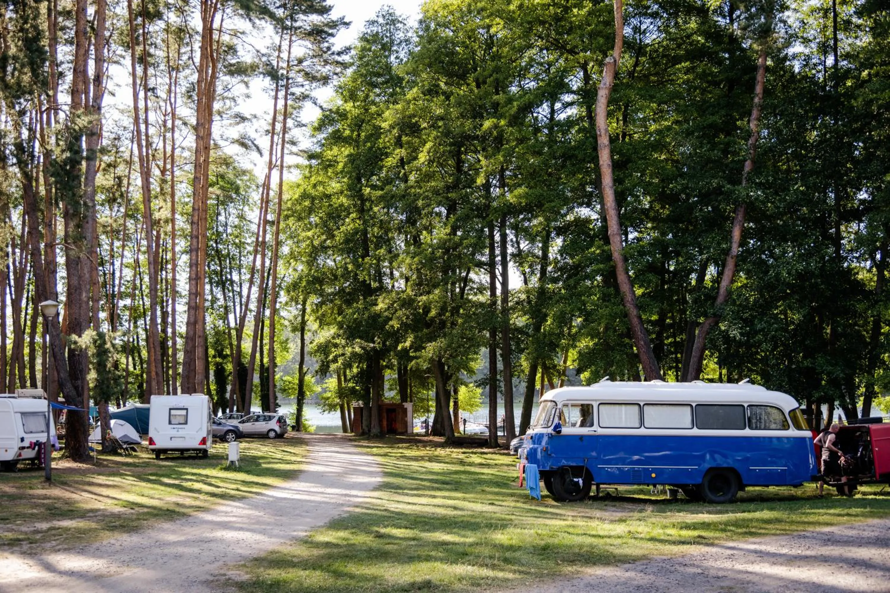 Natural landscape in Zacisze,pl Domki Premium i Bungalowy Deluxe nad Jeziorem Łagowskim
