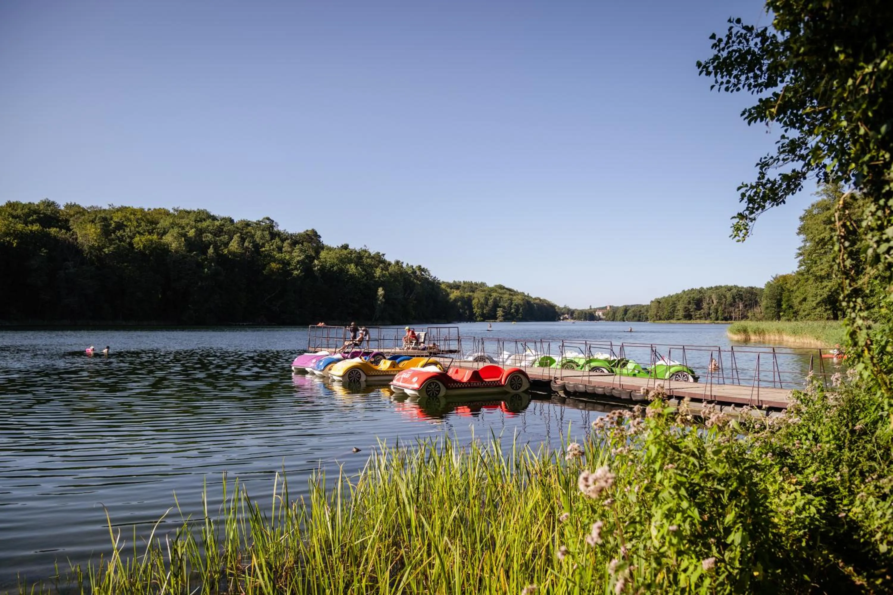Natural landscape in Zacisze,pl Domki Premium i Bungalowy Deluxe nad Jeziorem Łagowskim
