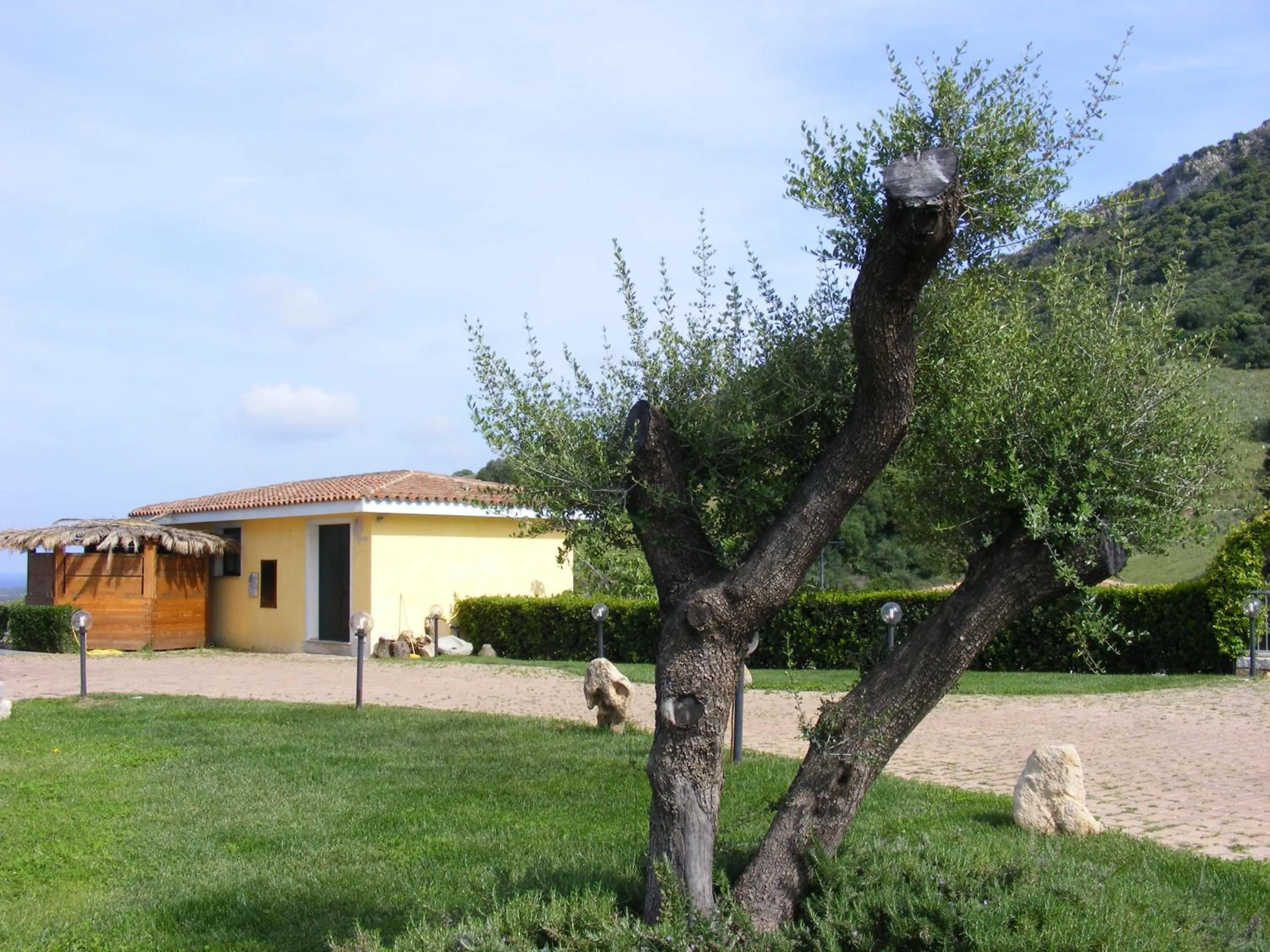 Garden in Tenuta Su Vrau