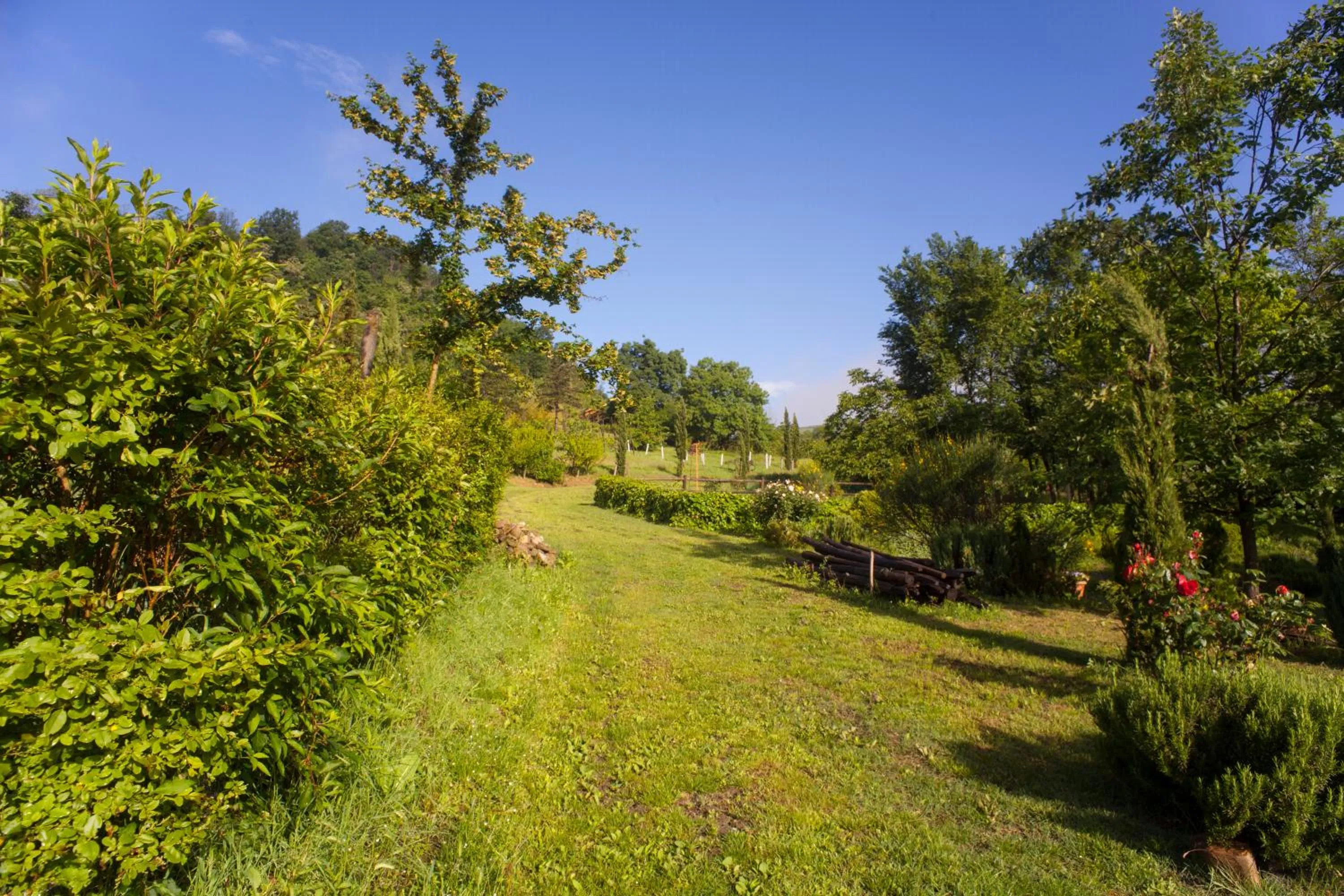 Garden in Agriturismo Il Cavicchio