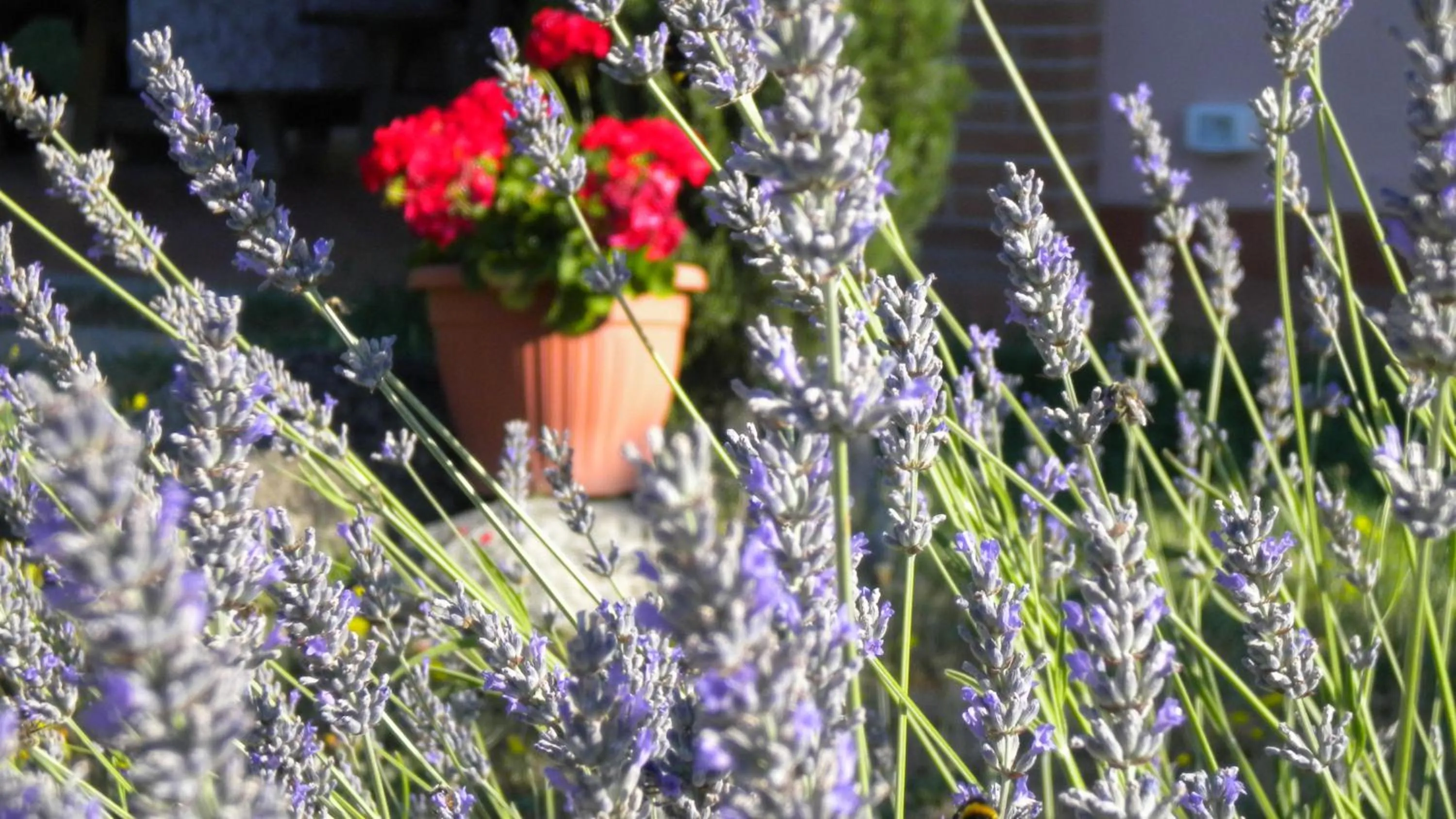 Decorative detail in Agriturismo Il Cavicchio