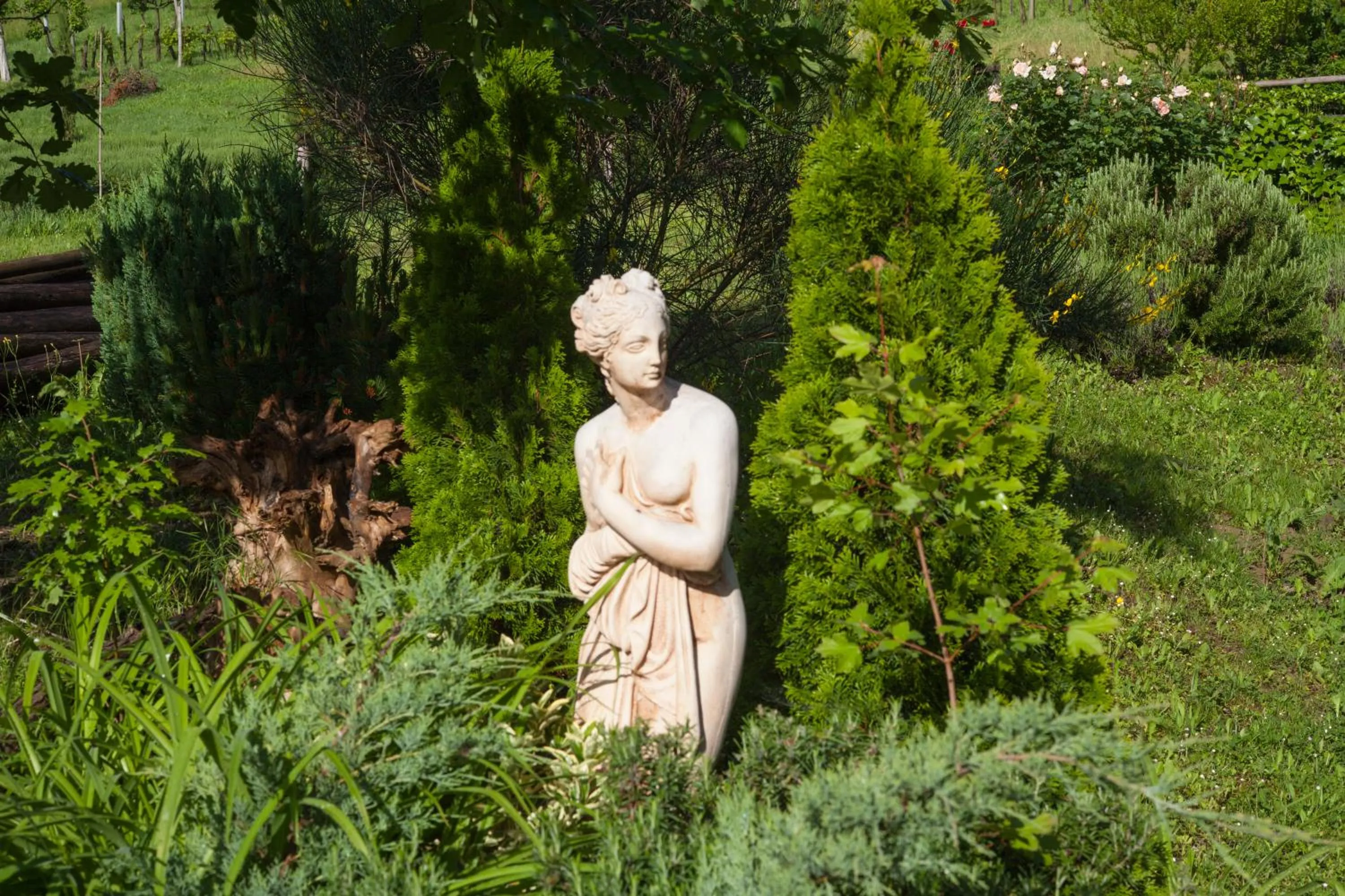 Garden in Agriturismo Il Cavicchio