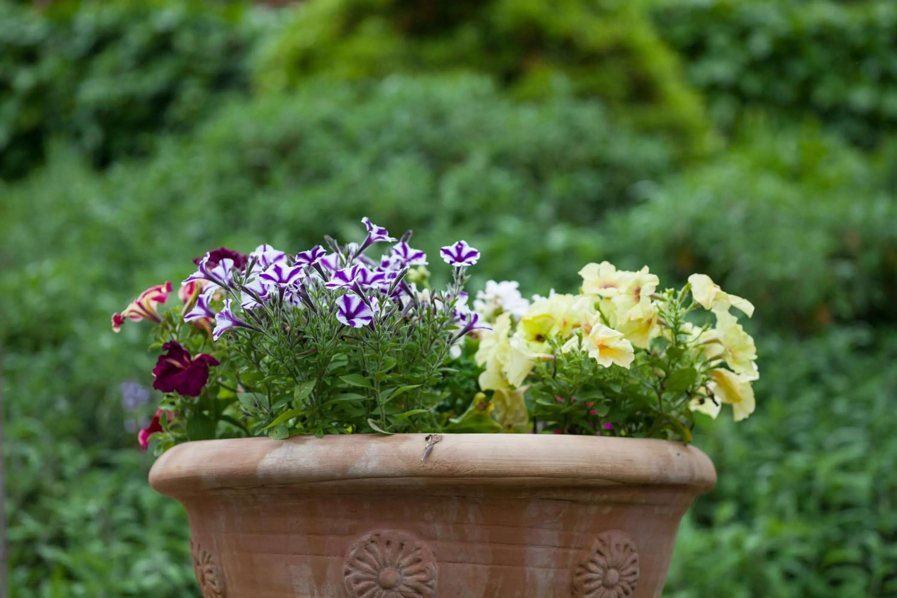 Decorative detail in Agriturismo Il Cavicchio