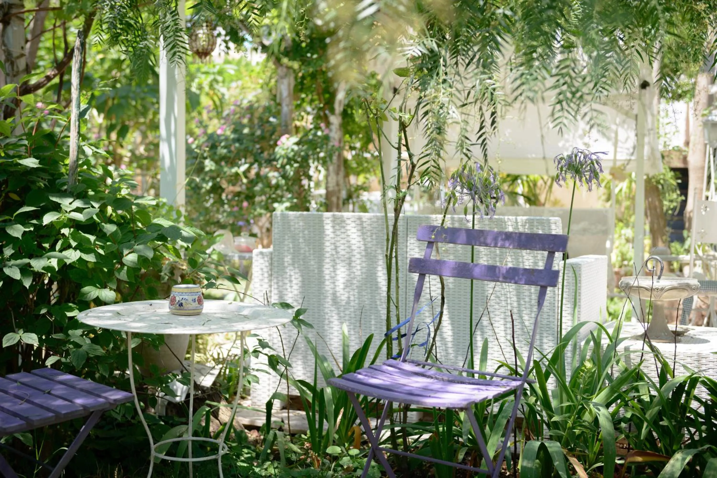 Other in Giardino Segreto