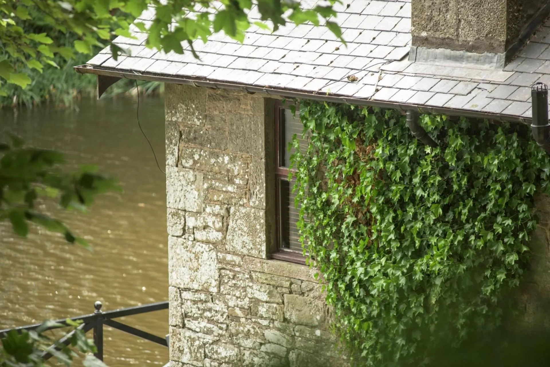 Lake view in Forbes of Kingennie