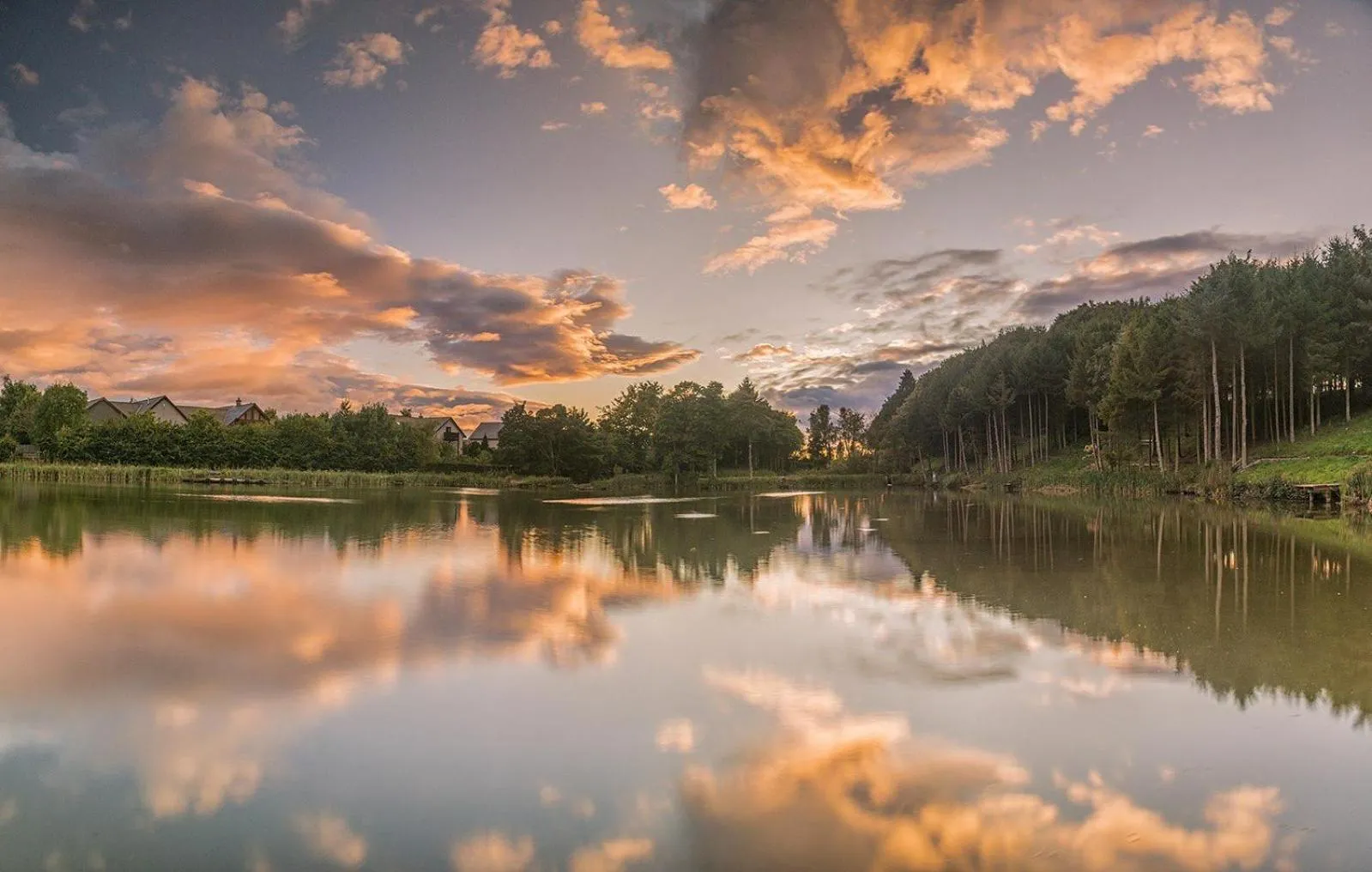 Lake view in Forbes of Kingennie