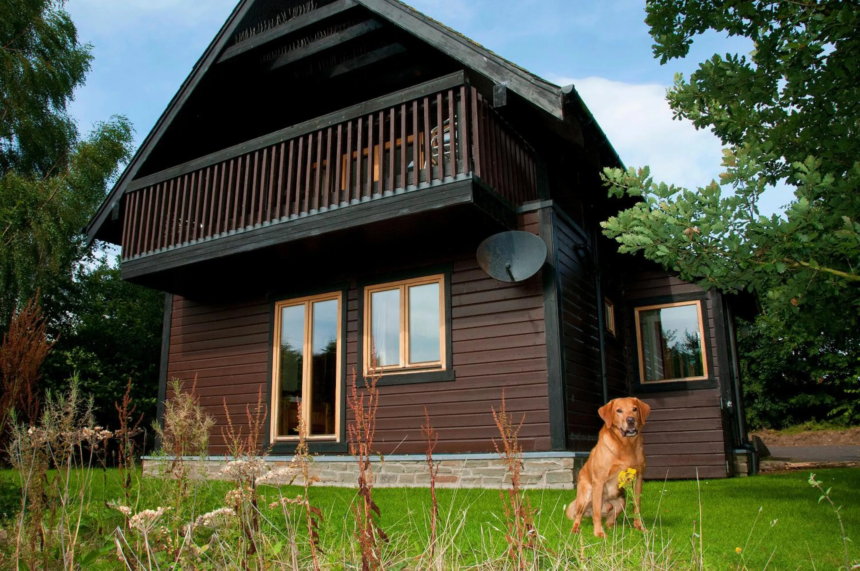 Garden in Forbes of Kingennie