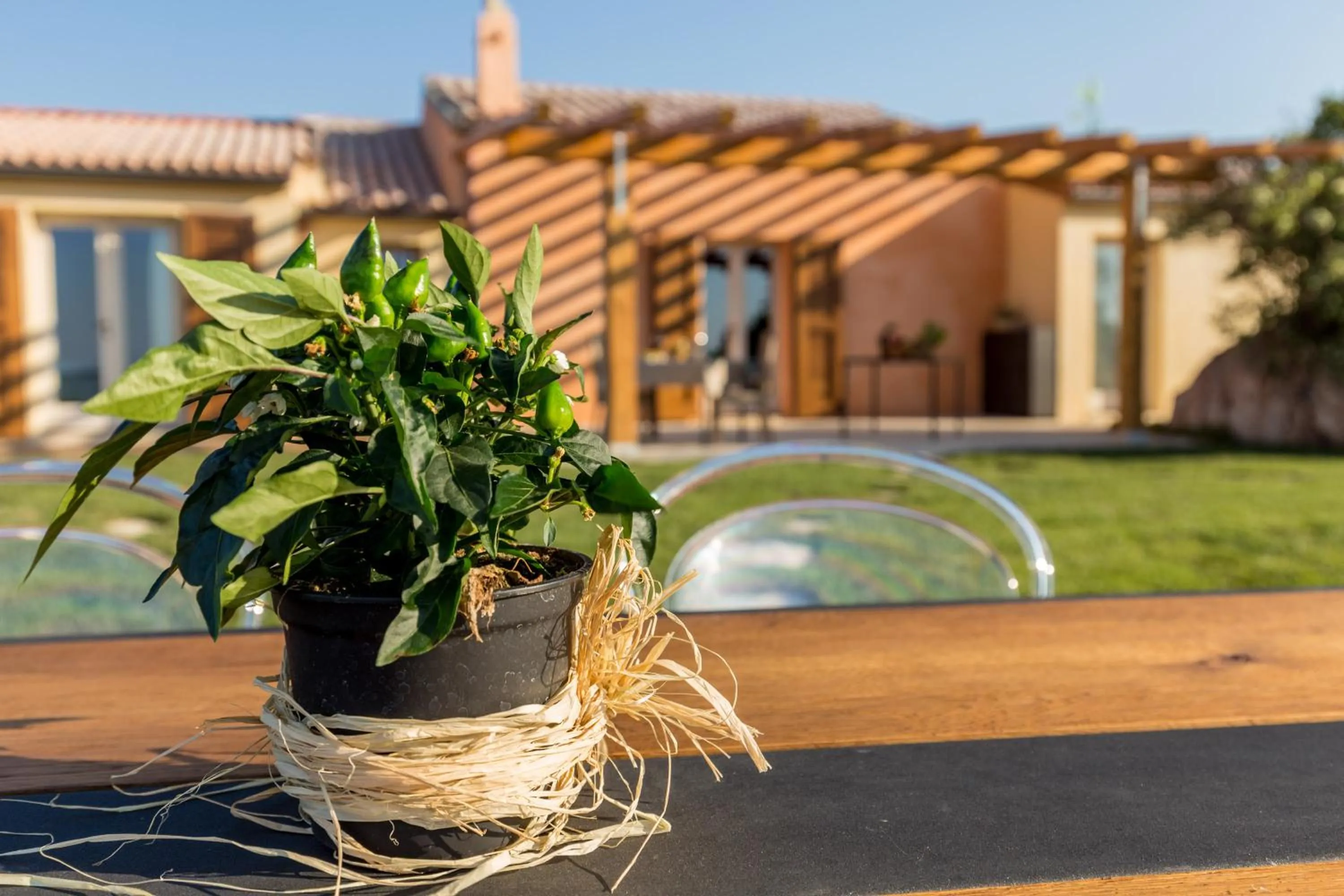 Garden in Tenuta Petra Bianca