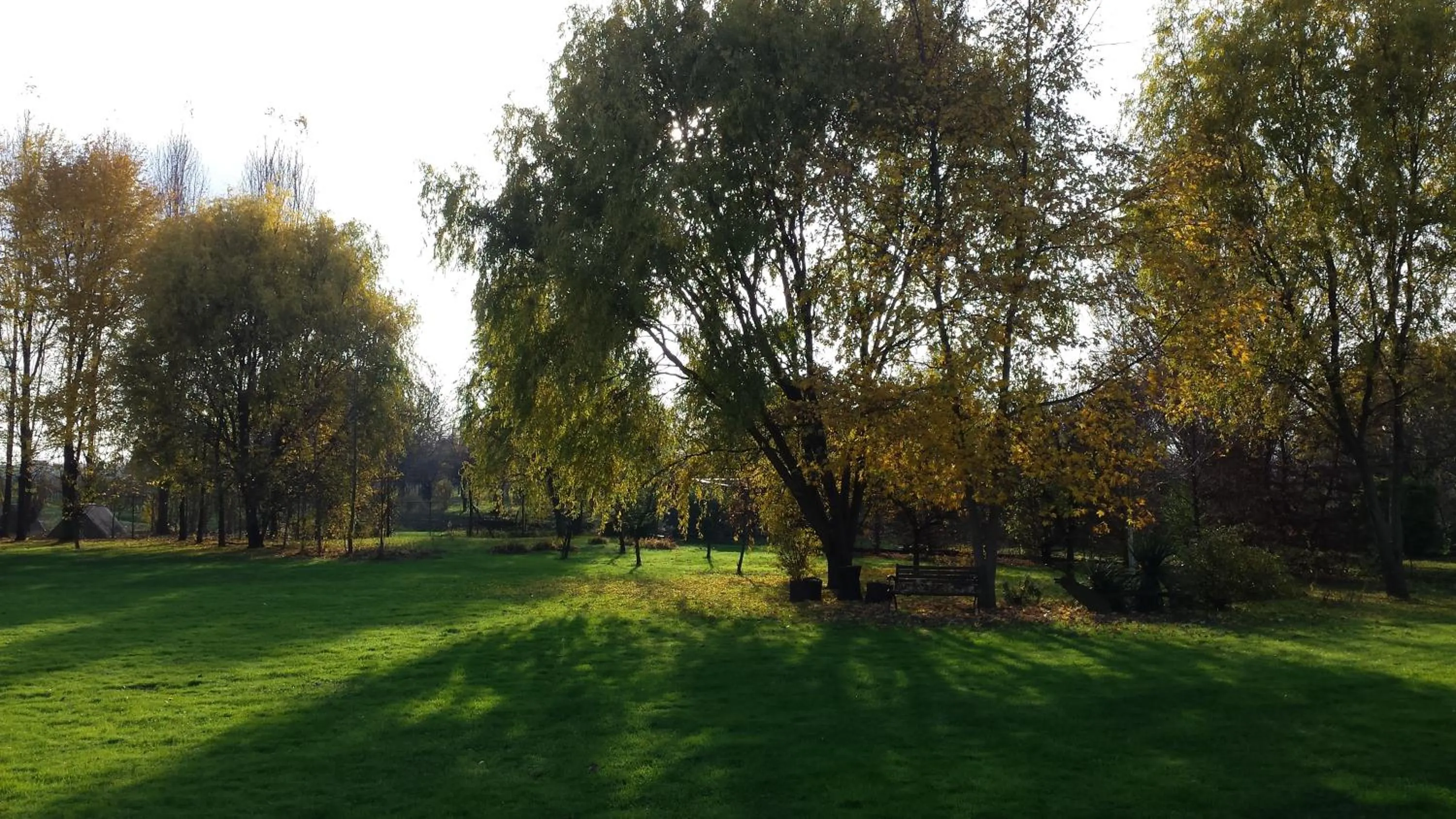 Garden in Agriturismo Ai Carpini