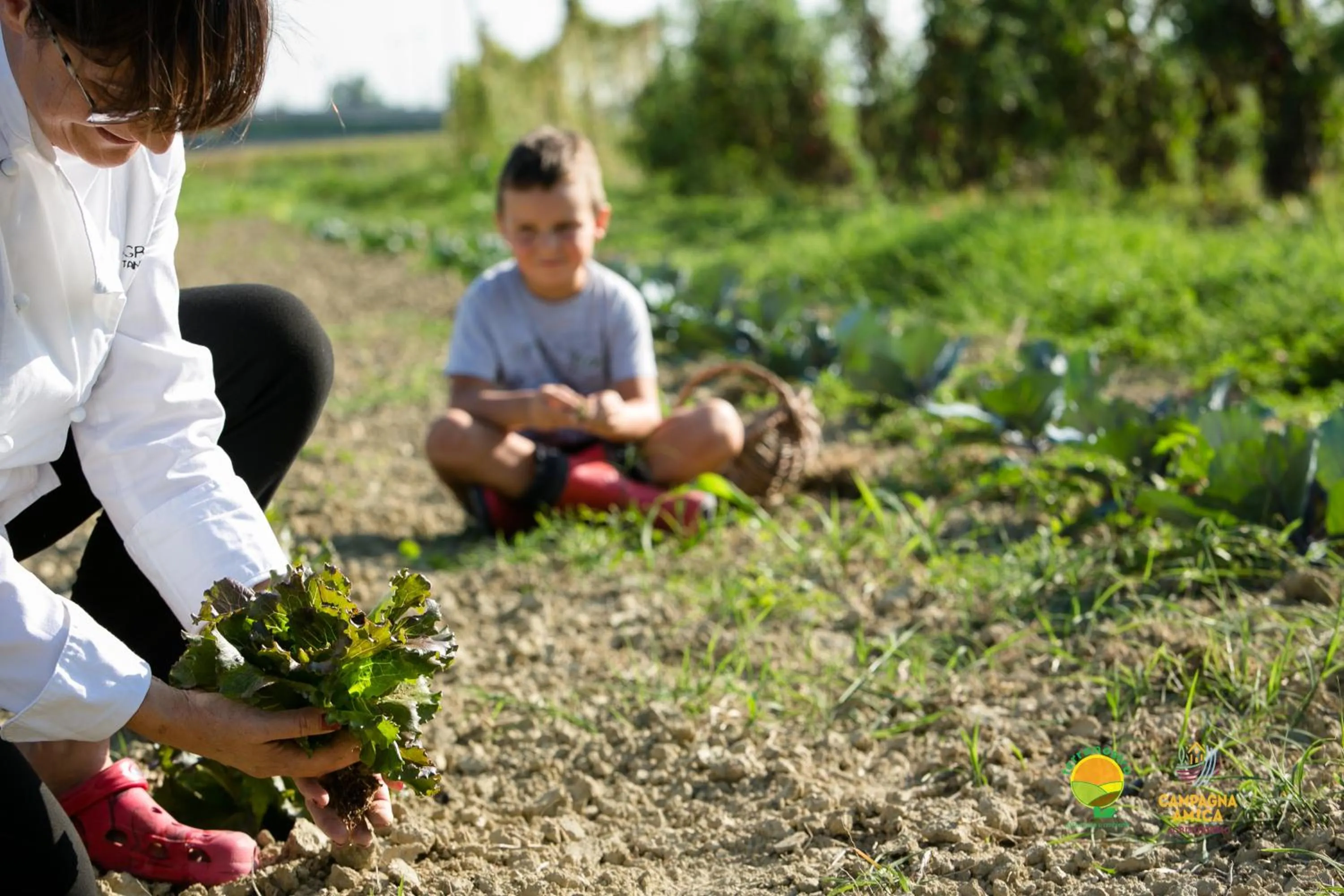 Activities in Agriturismo Ai Carpini