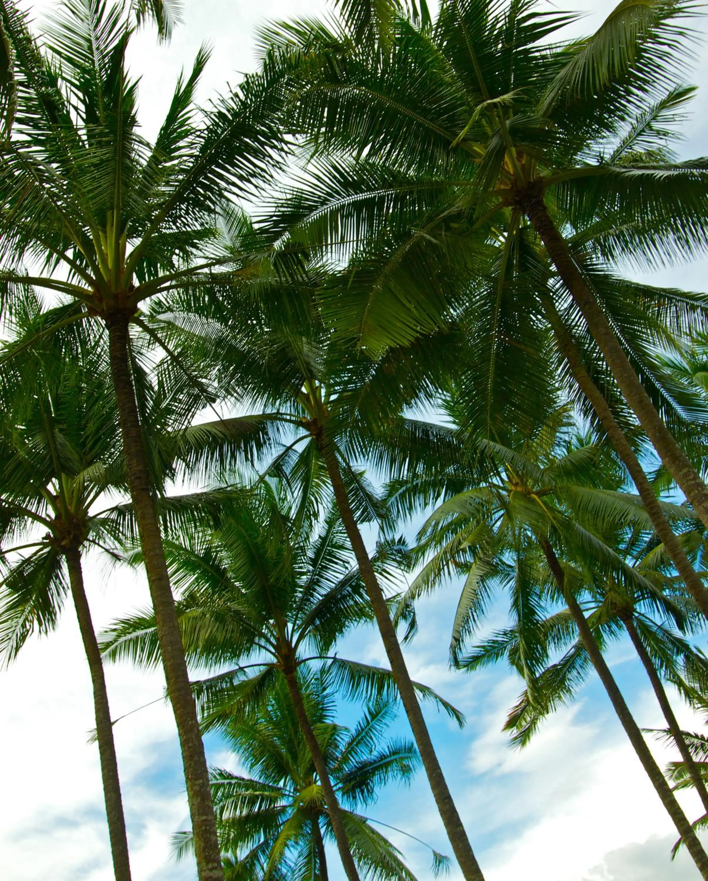 Beach in Bayside Bungalows