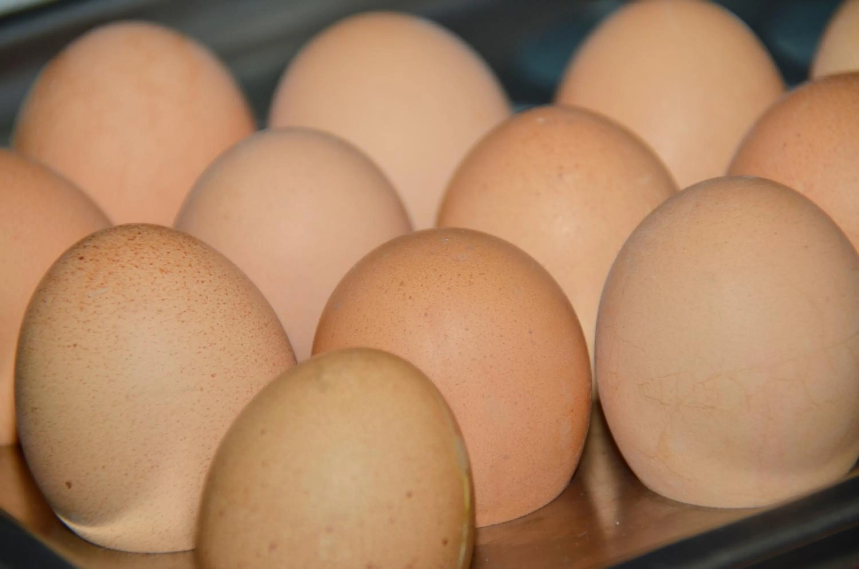 Breakfast in Hotel Etna
