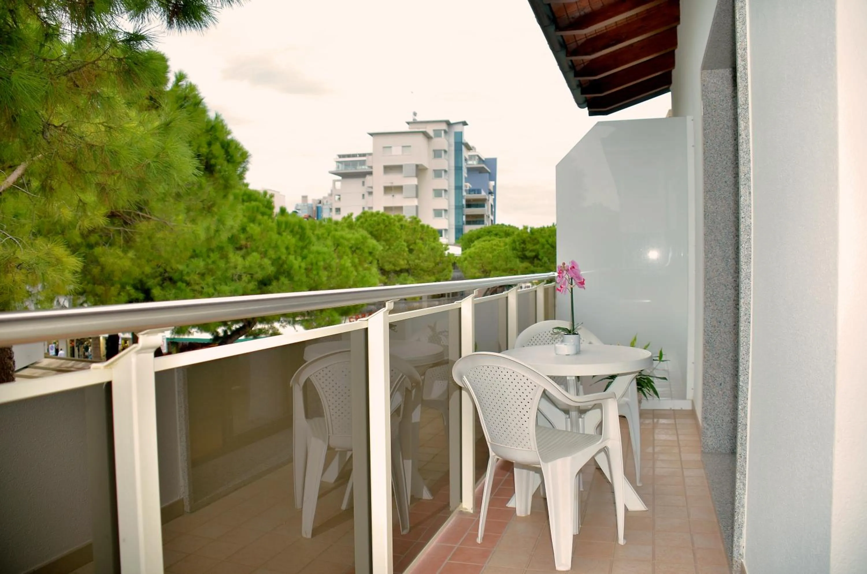 Balcony/Terrace in Hotel Etna