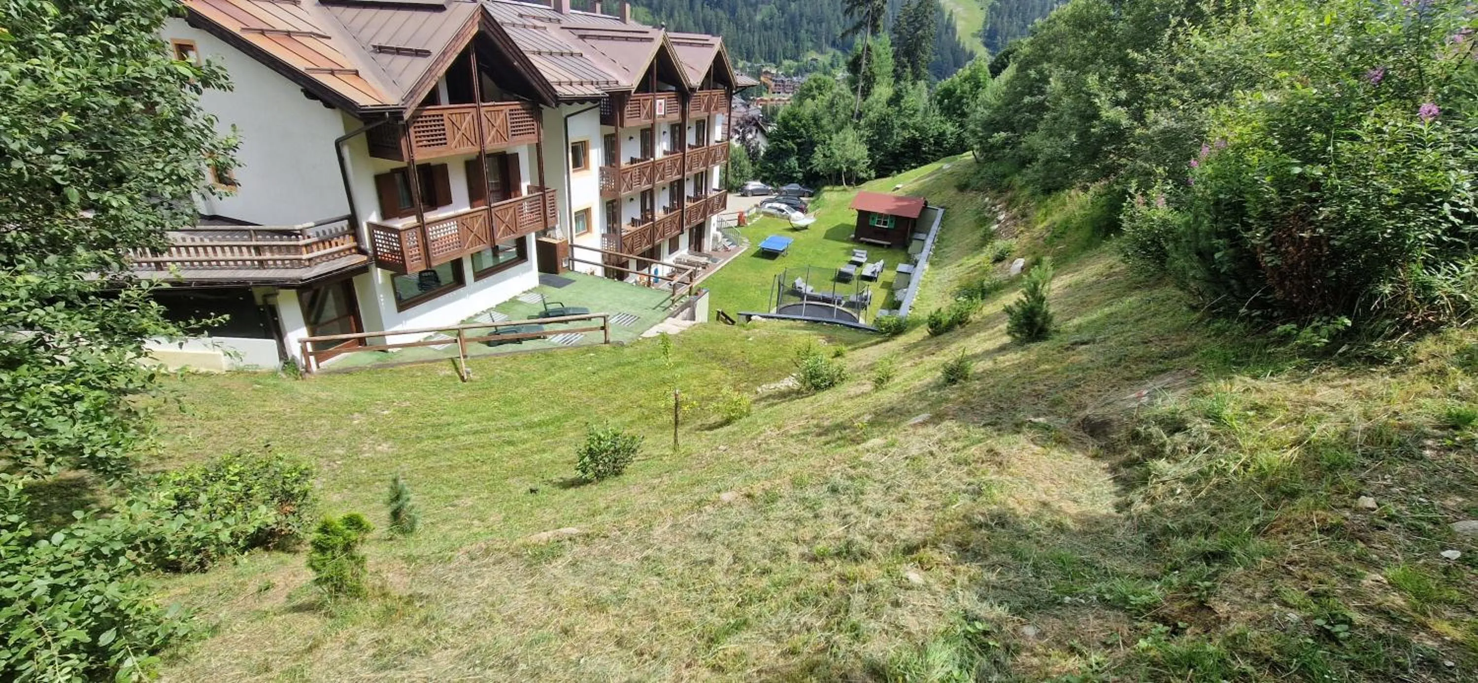 Garden in Hotel Montana