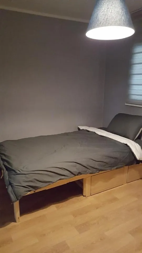 Bed in The Guesthouse DMZ Stay