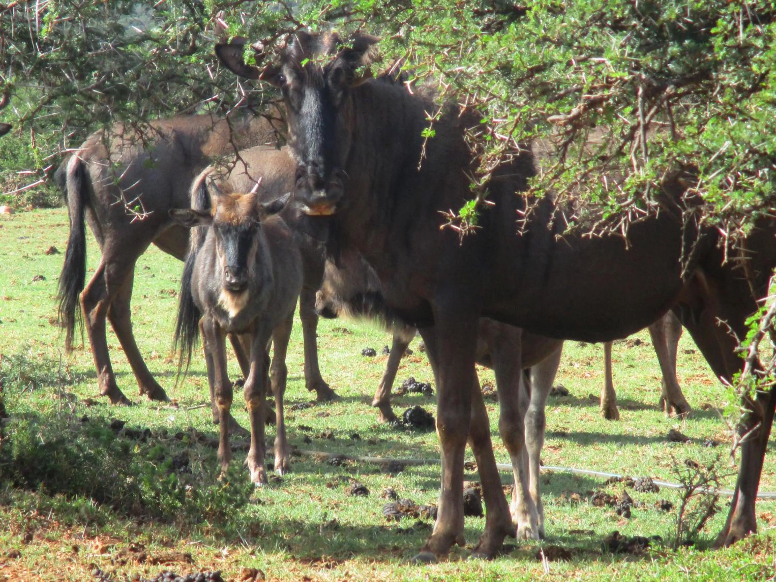 Day in Valley Bushveld Country Lodge