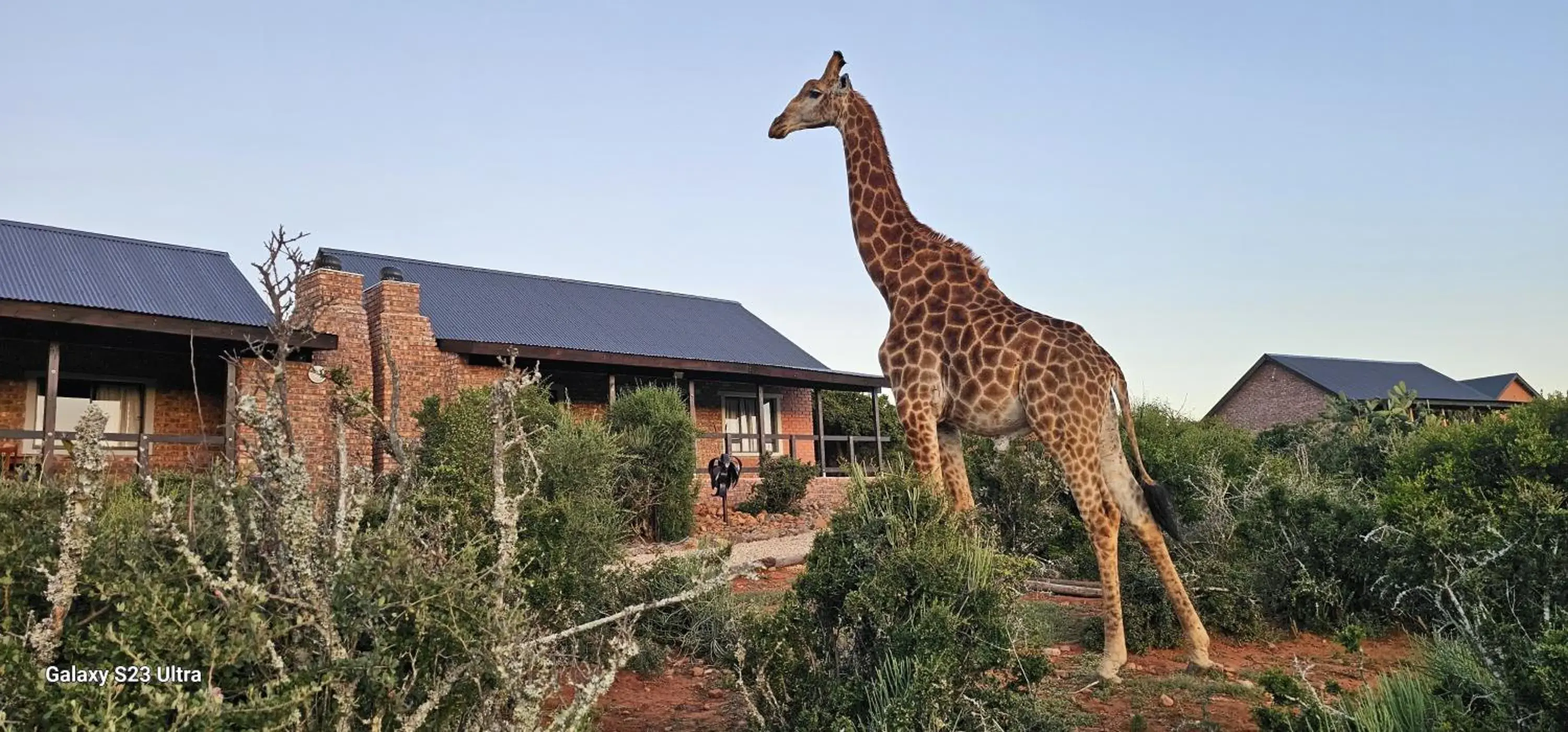 Valley Bushveld Country Lodge Valley Bushveld Country Lodge