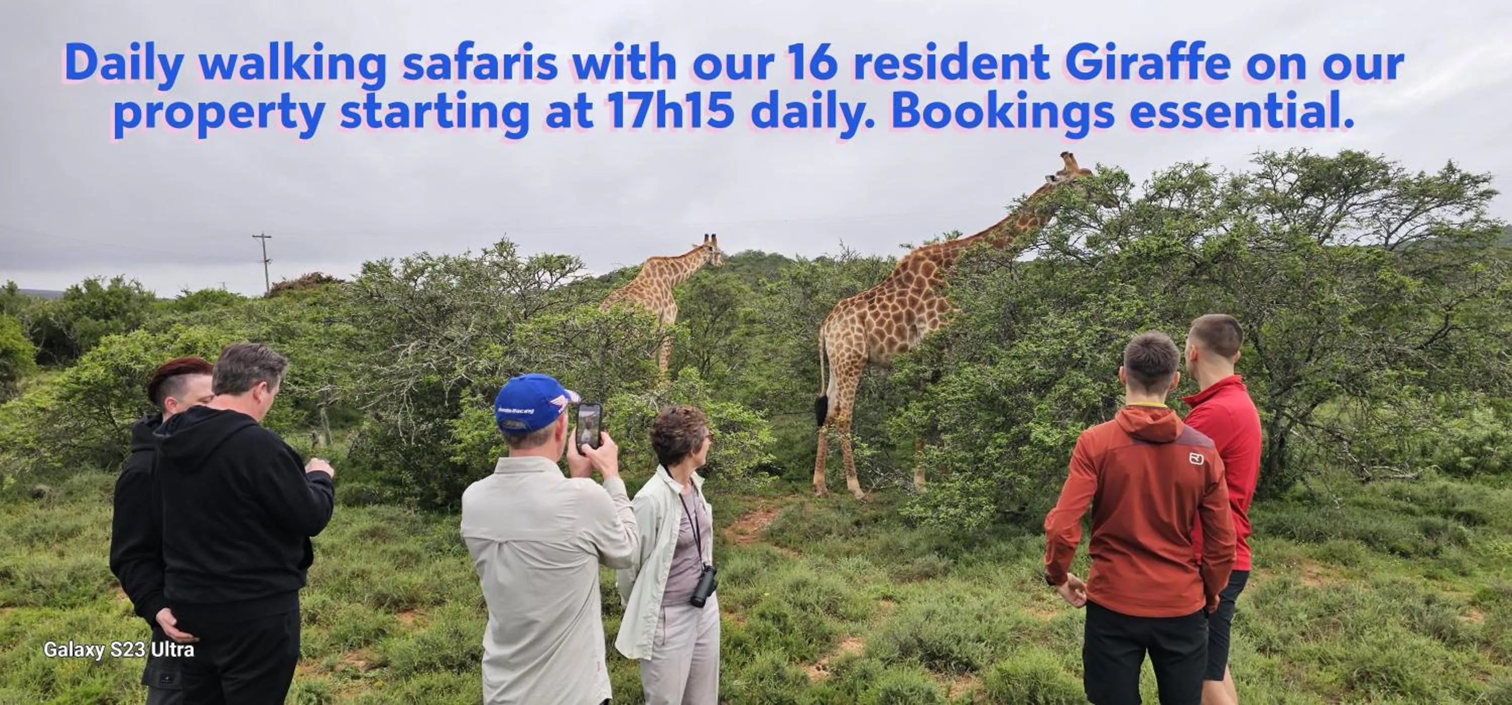 Activities in Valley Bushveld Country Lodge