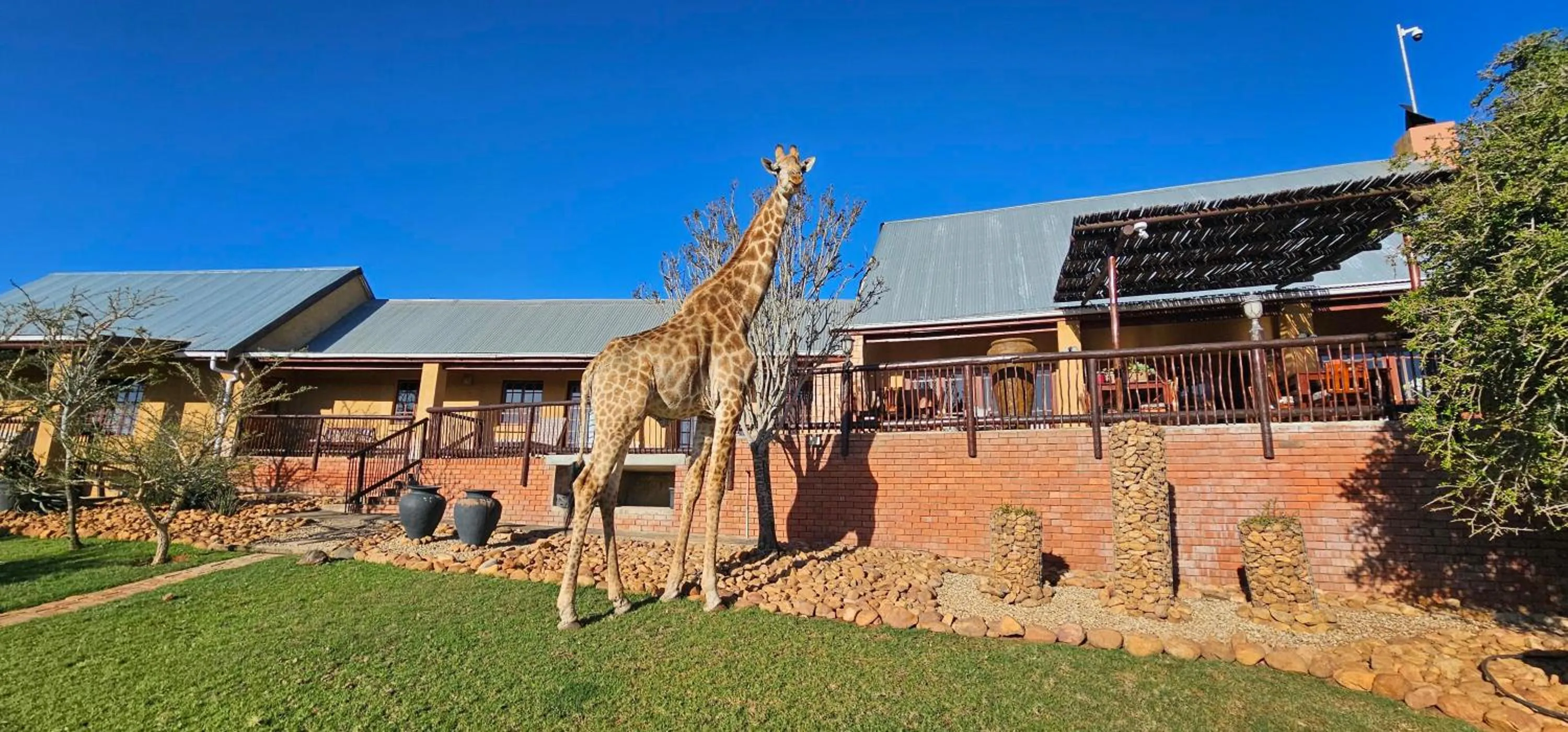 Property building in Valley Bushveld Country Lodge