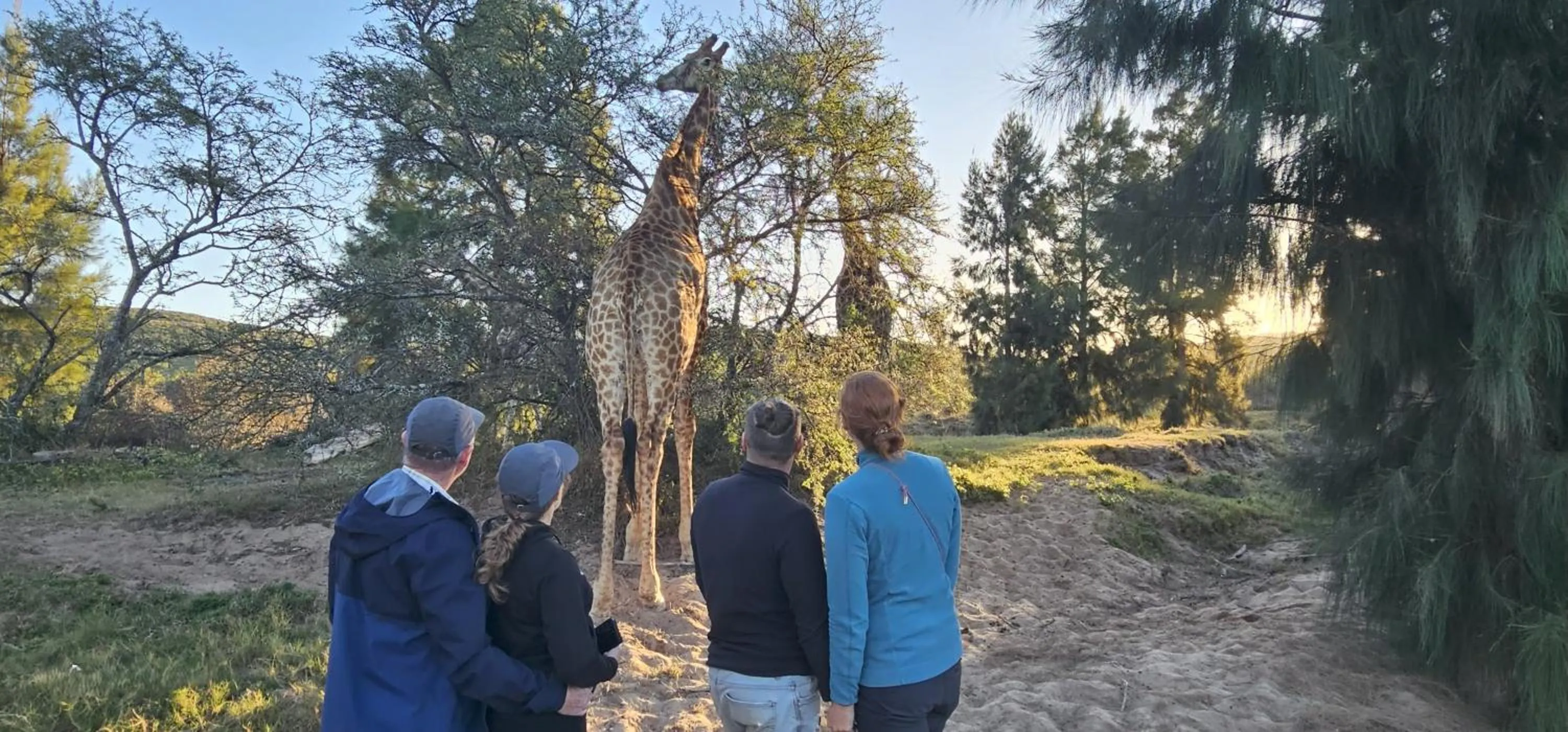 Activities in Valley Bushveld Country Lodge