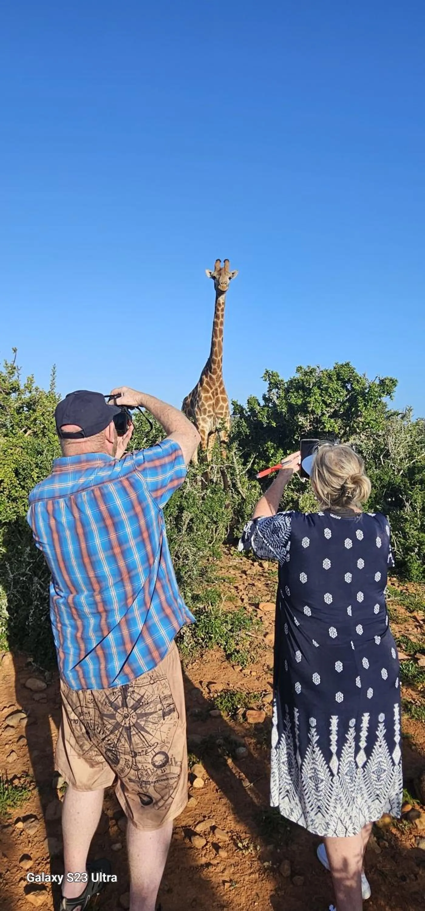 Activities in Valley Bushveld Country Lodge